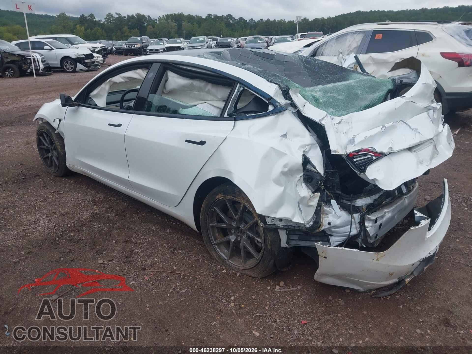 TESLA MODEL 3 2021 - 5YJ3E1EB6MF965399