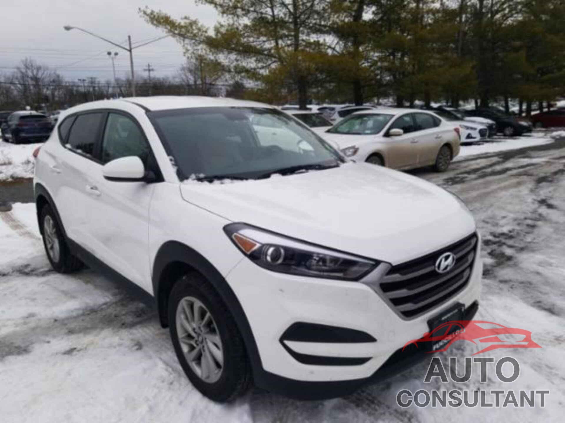 HYUNDAI TUCSON 2018 - KM8J2CA43JU703034