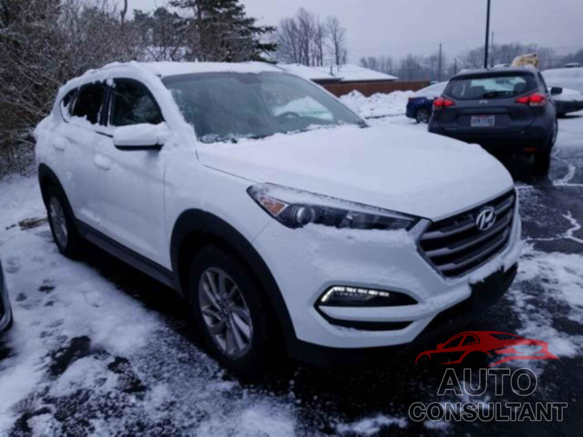 HYUNDAI TUCSON 2017 - KM8J33A44HU584613