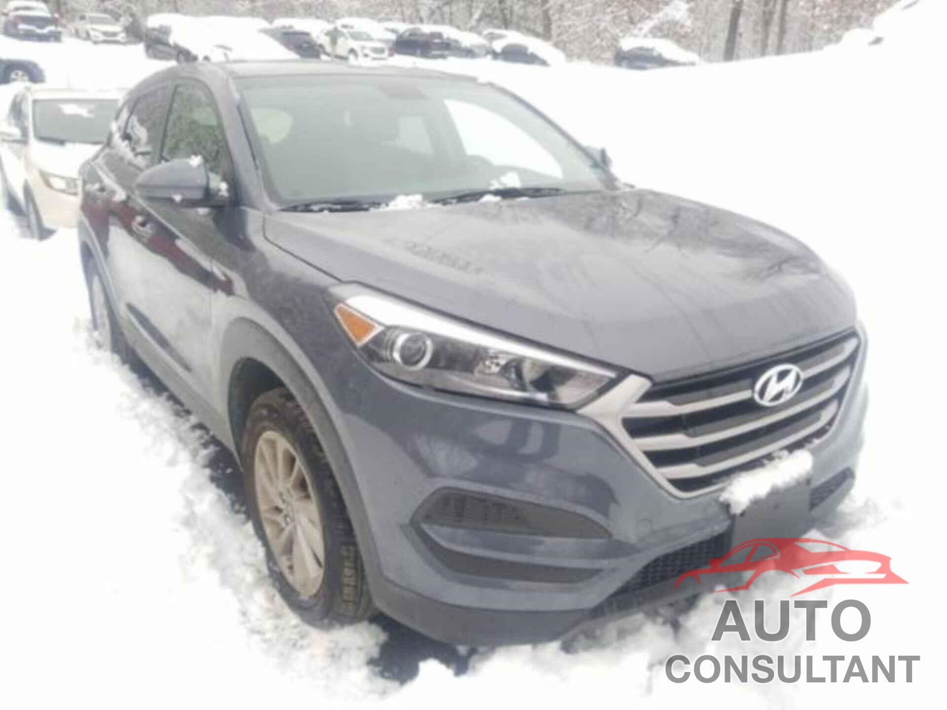 HYUNDAI TUCSON 2017 - KM8J23A46HU314396
