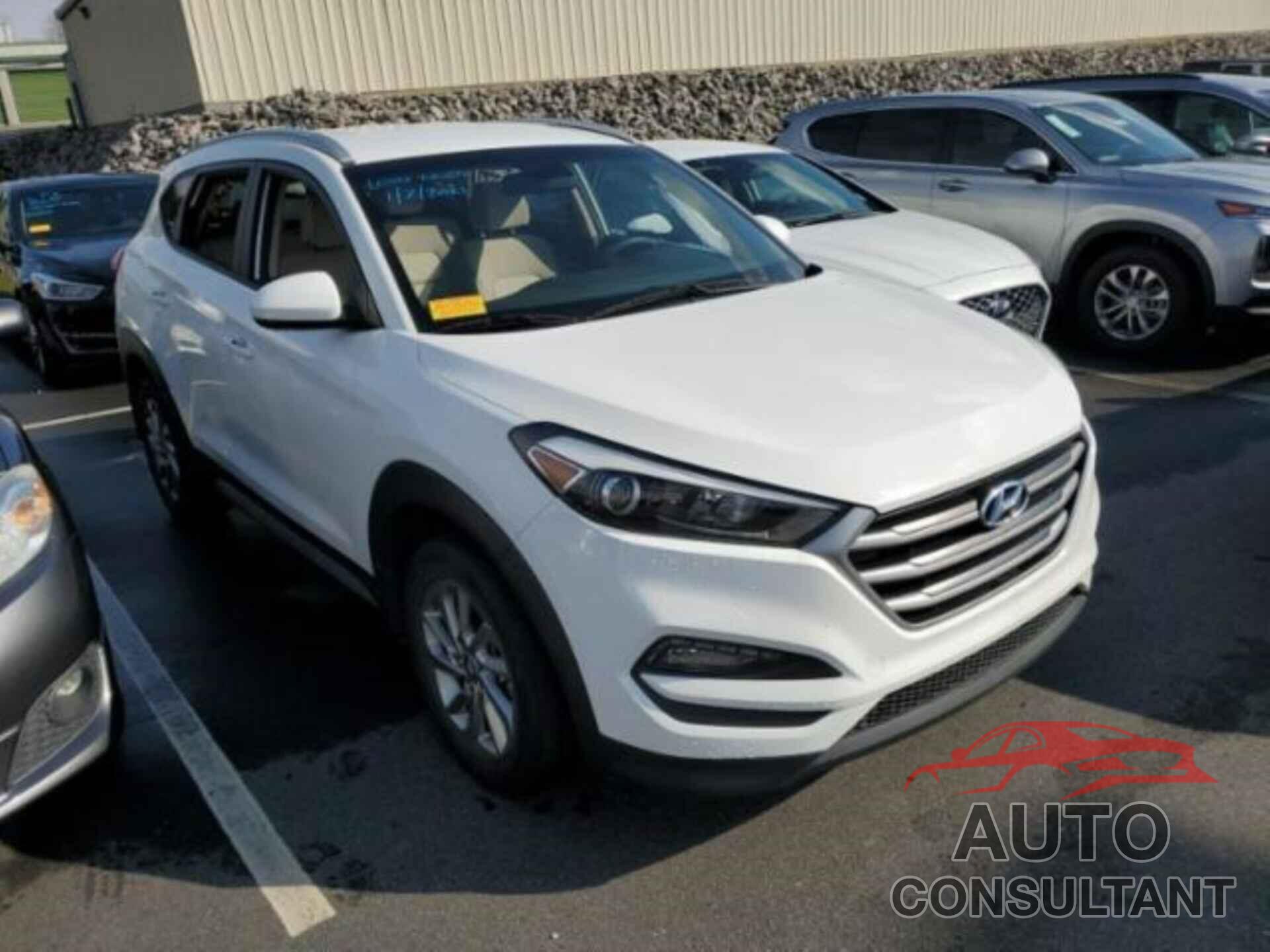 HYUNDAI TUCSON 2017 - KM8J33A42HU508100