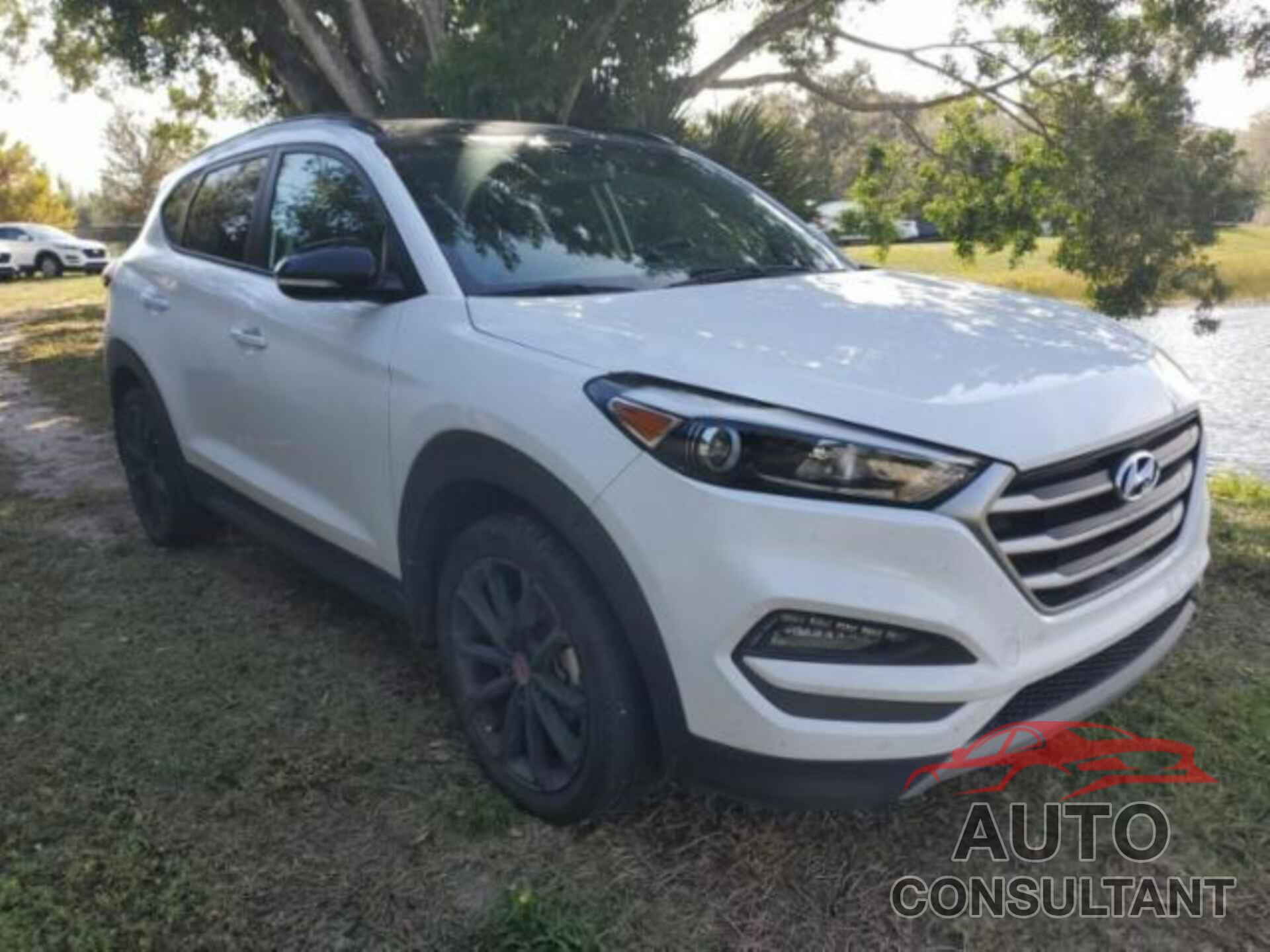 HYUNDAI TUCSON 2017 - KM8J33A21HU534914
