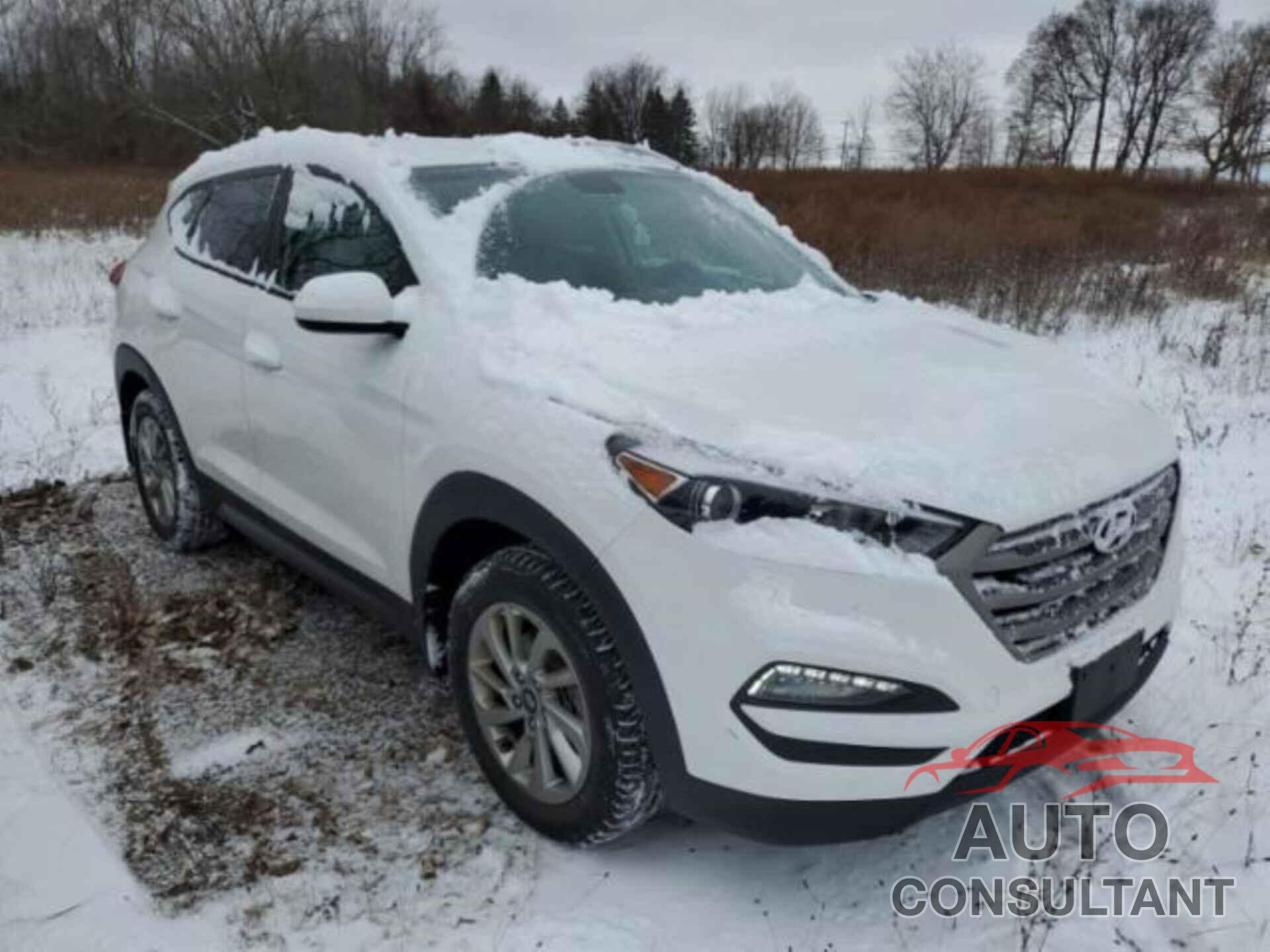 HYUNDAI TUCSON 2016 - KM8J3CA41GU254183