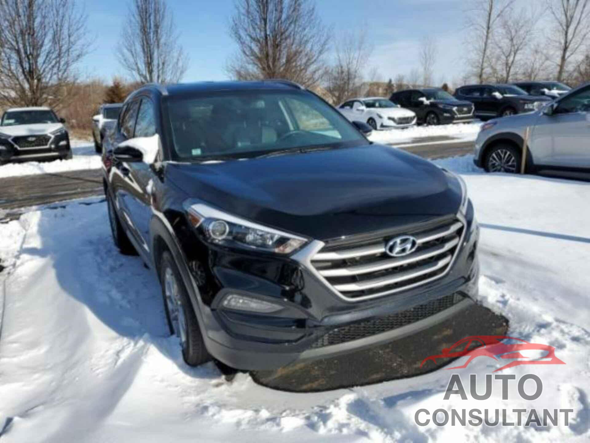 HYUNDAI TUCSON 2017 - KM8J3CA46HU524784