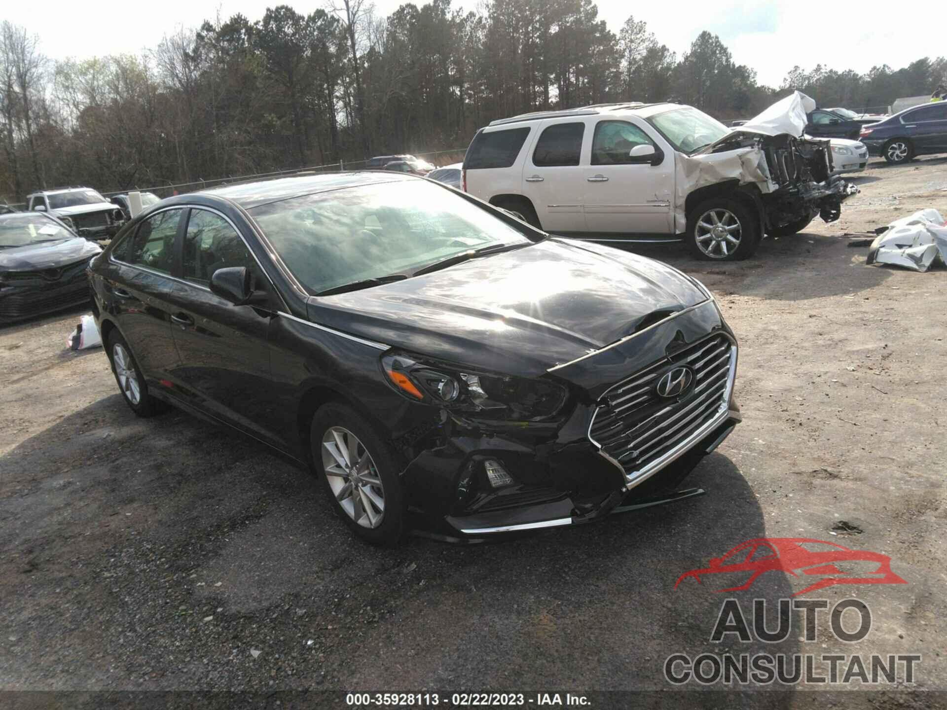 HYUNDAI SONATA 2019 - 5NPE24AF5KH821501