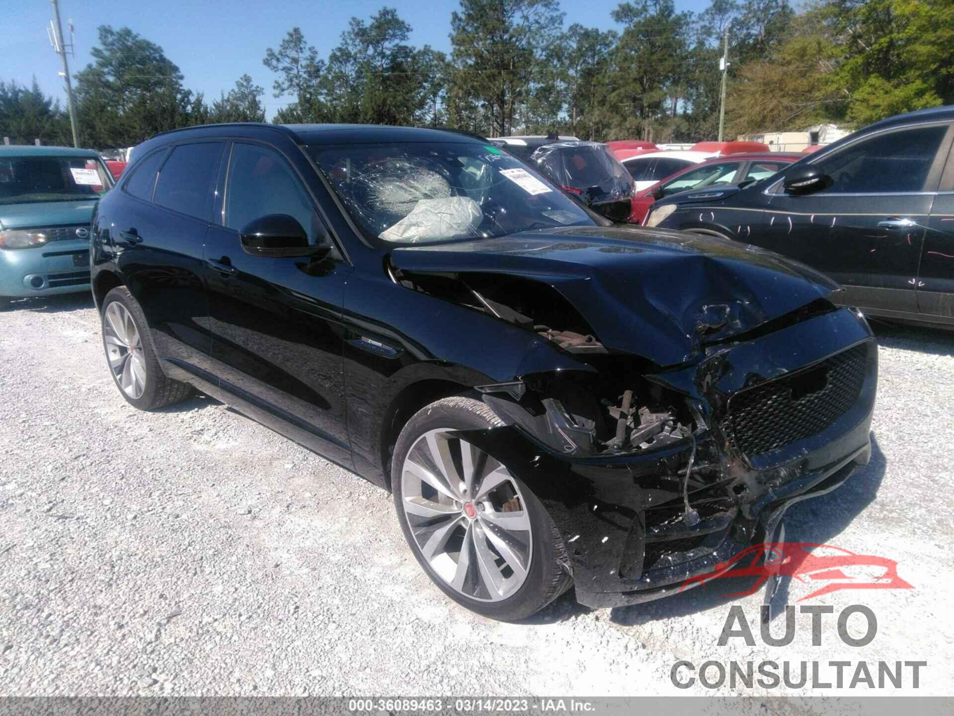 JAGUAR F-PACE 2019 - SADCL2FX2KA607426