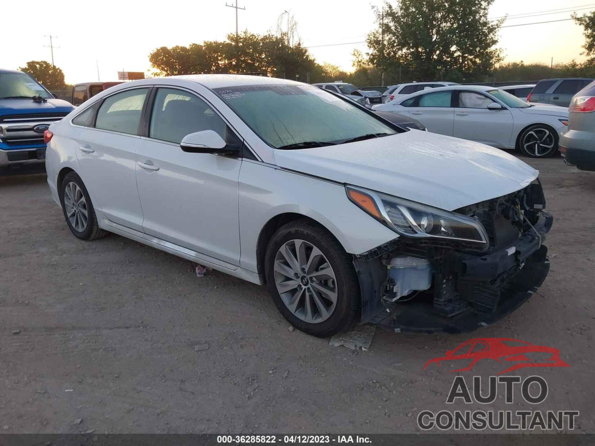 HYUNDAI SONATA 2016 - 5NPE34AFXGH262483