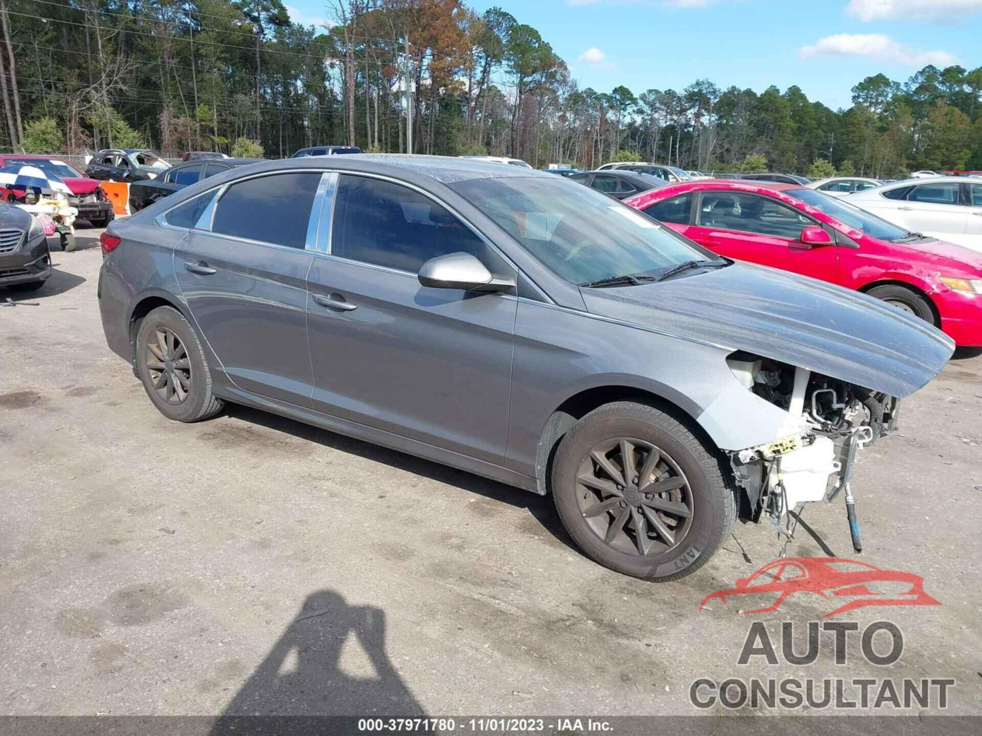 HYUNDAI SONATA 2019 - 5NPE24AF3KH745759
