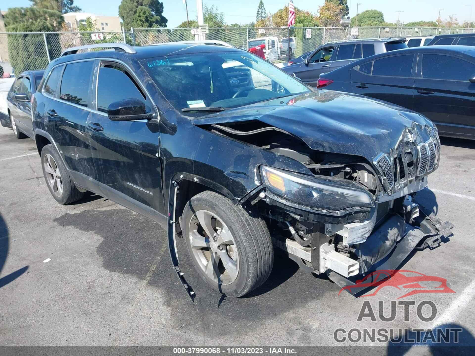 JEEP CHEROKEE 2019 - 1C4PJLDB8KD207840