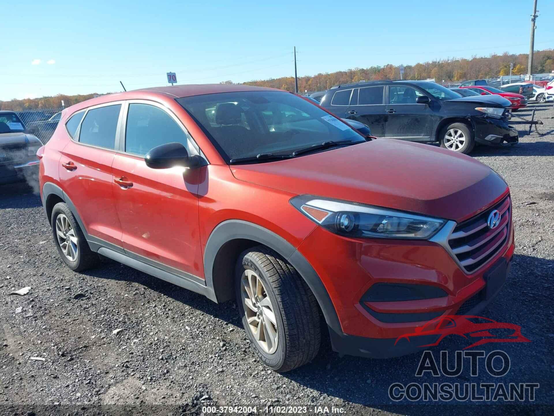 HYUNDAI TUCSON 2017 - KM8J23A43HU346092