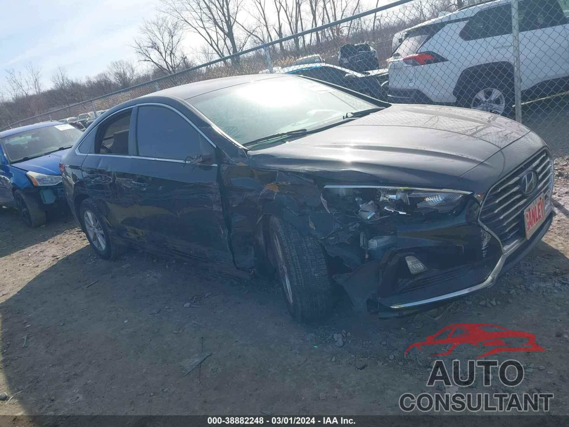 HYUNDAI SONATA 2019 - 5NPE24AF5KH736139