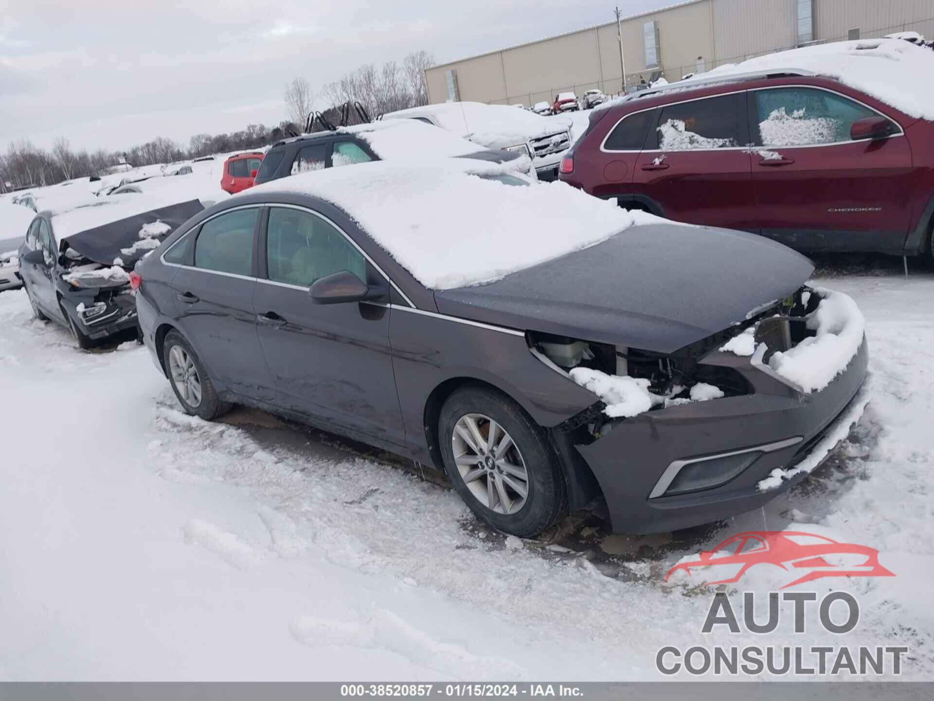 HYUNDAI SONATA 2016 - 5NPE24AF2GH261105