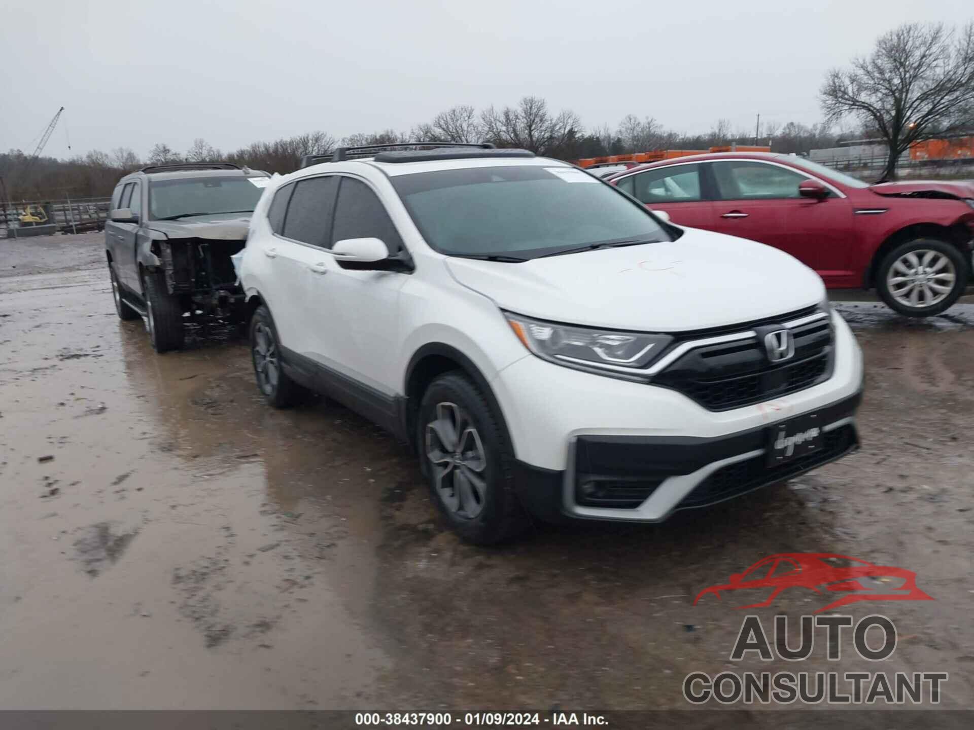 HONDA CR-V 2020 - 2HKRW2H50LH673220