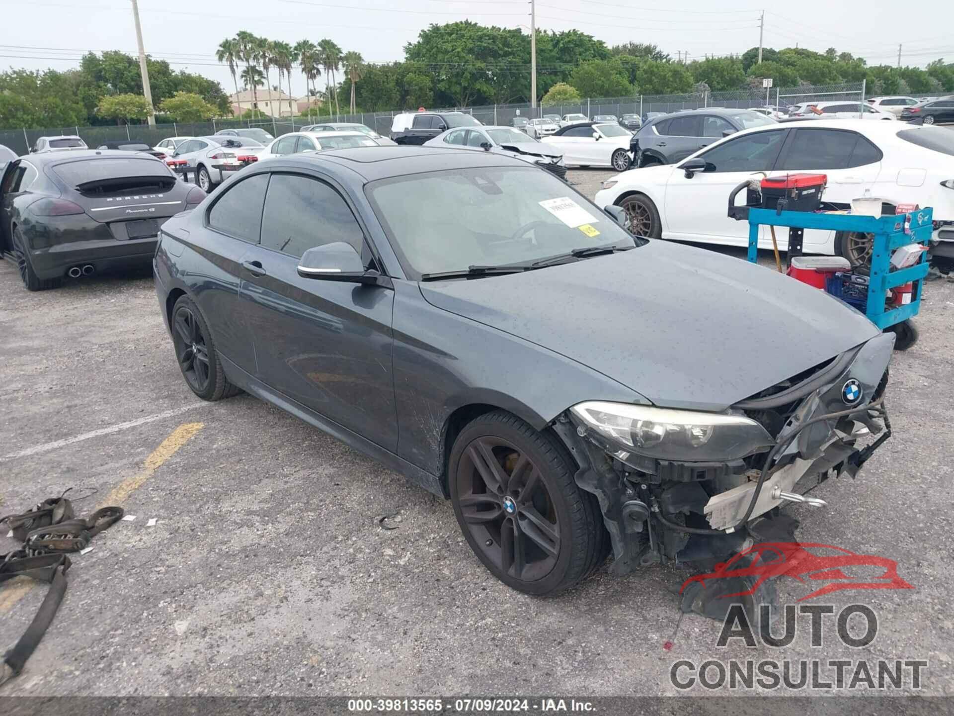 BMW 228I 2016 - WBA1F5C54GV343959