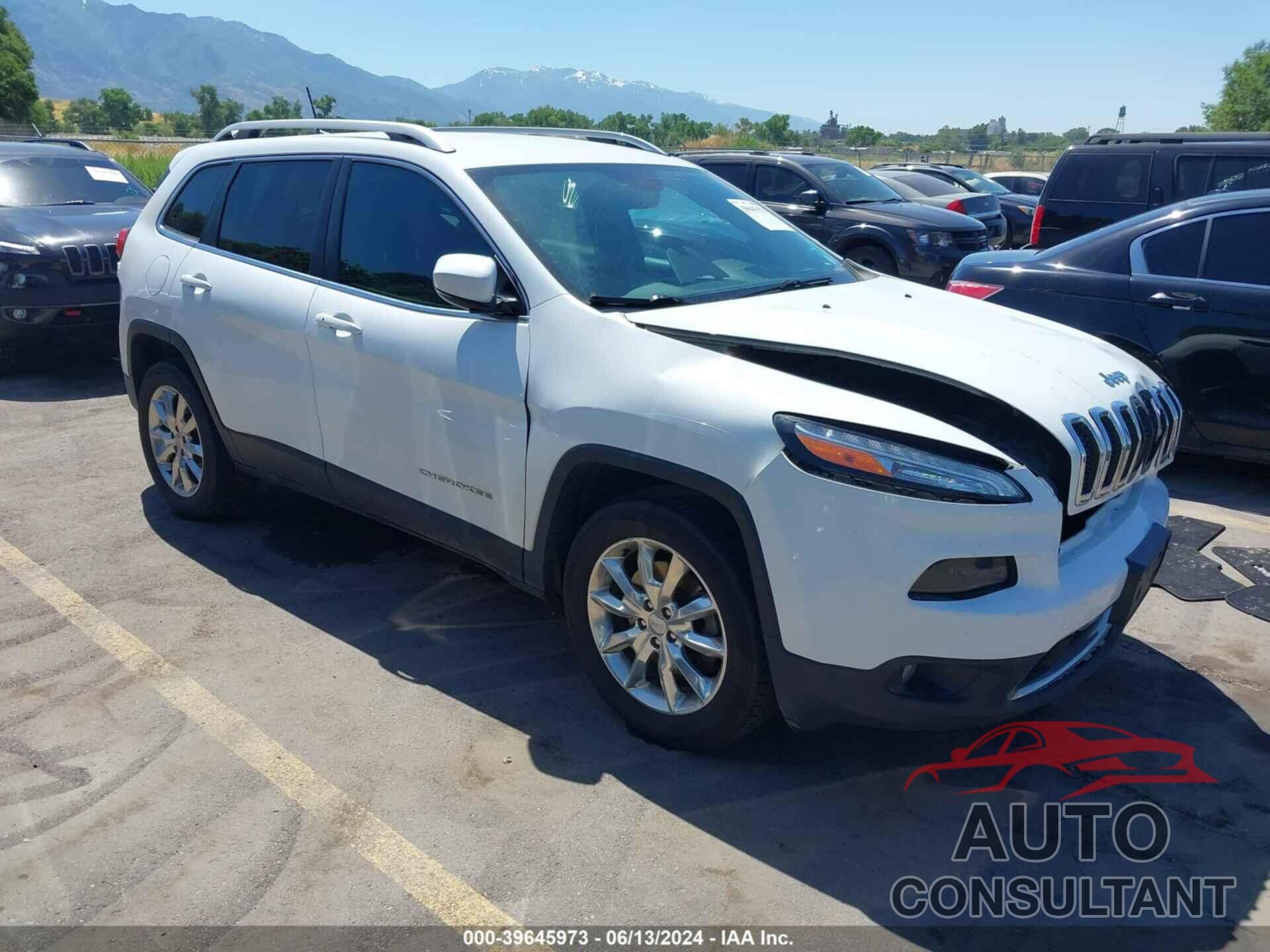 JEEP CHEROKEE 2016 - 1C4PJMDB9GW261942