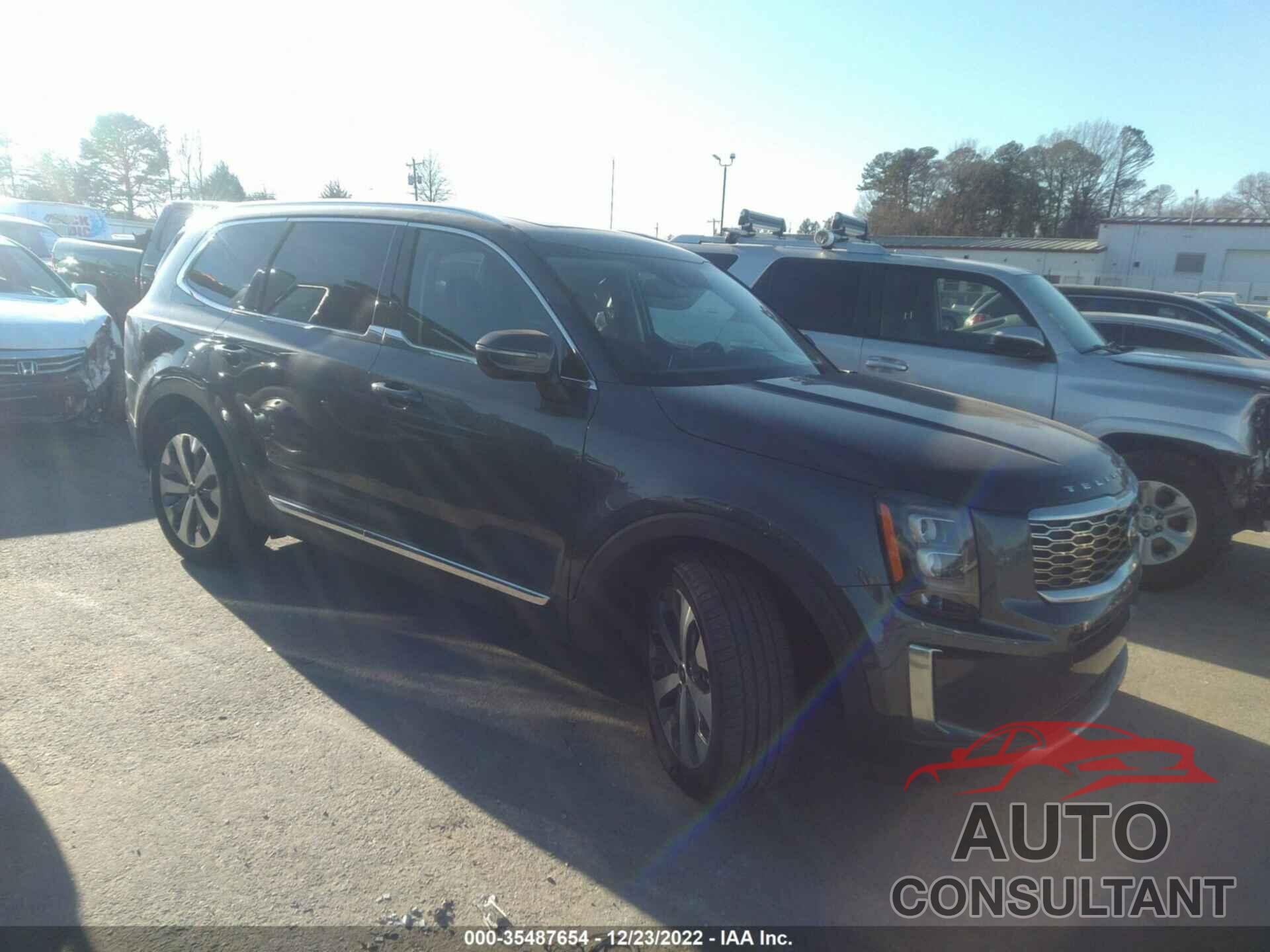 KIA TELLURIDE 2021 - 5XYP3DHC6MG113799