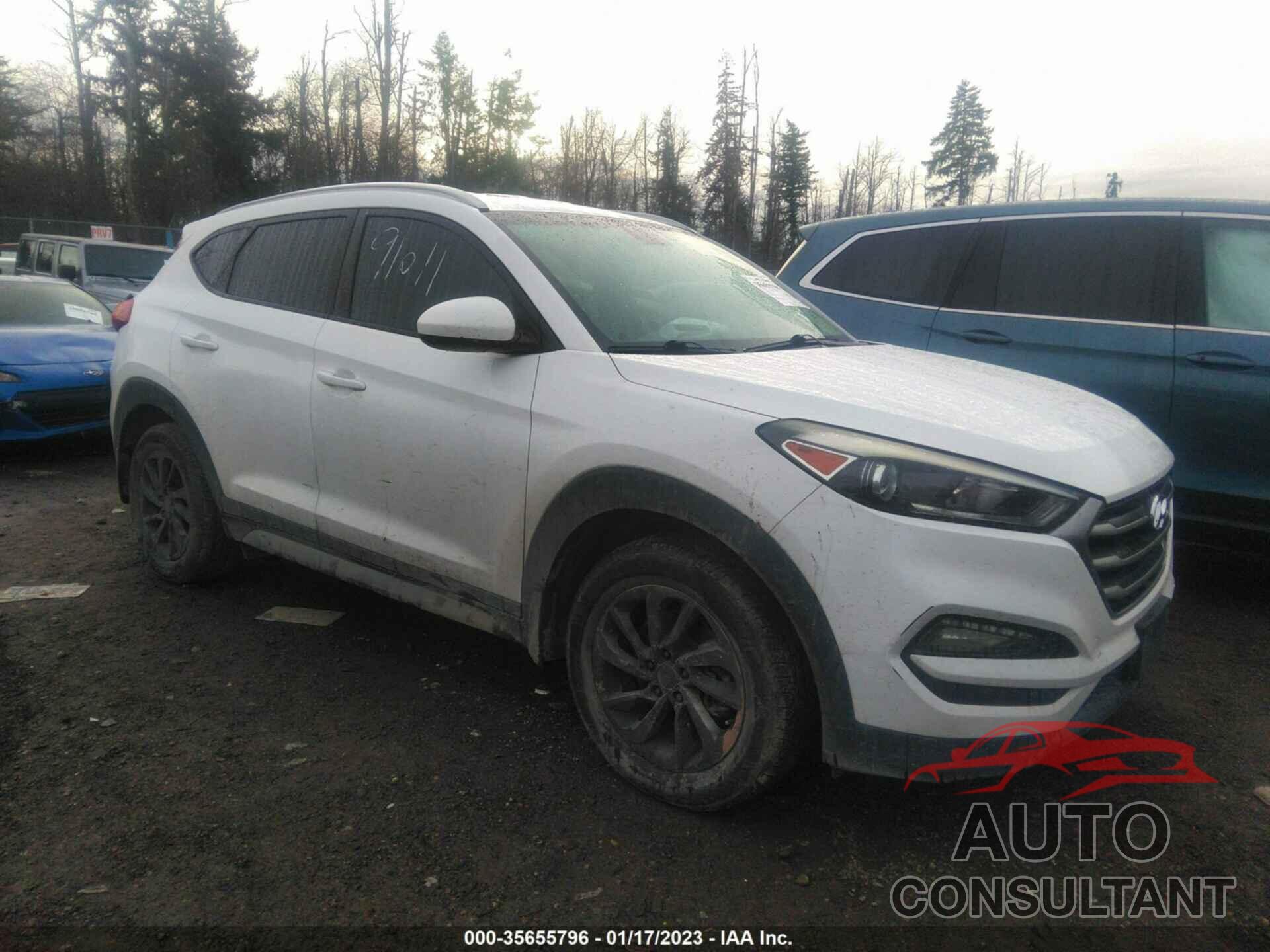 HYUNDAI TUCSON 2017 - KM8J3CA48HU266929