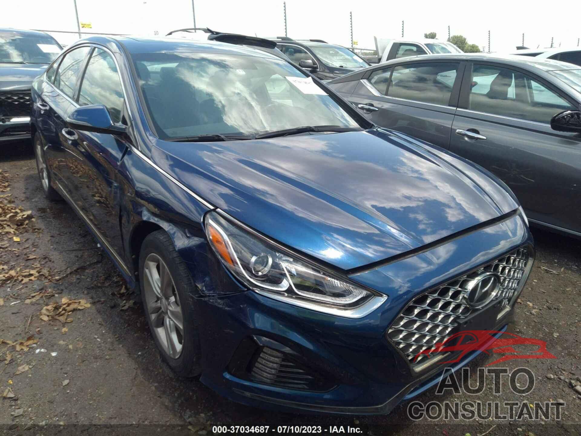 HYUNDAI SONATA 2019 - 5NPE34AF5KH810267