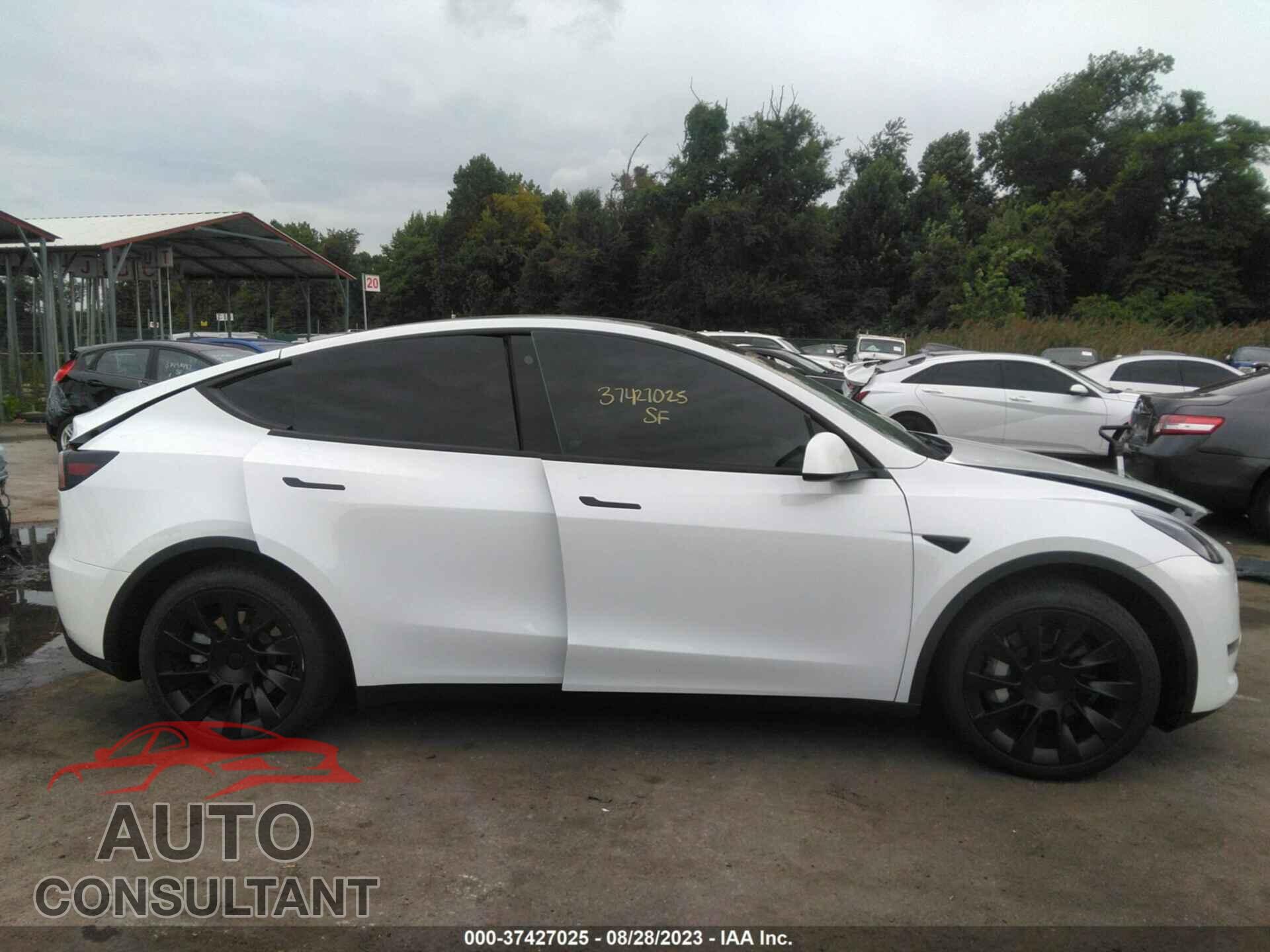 TESLA MODEL Y 2023 - 7SAYGAEE2PF646874
