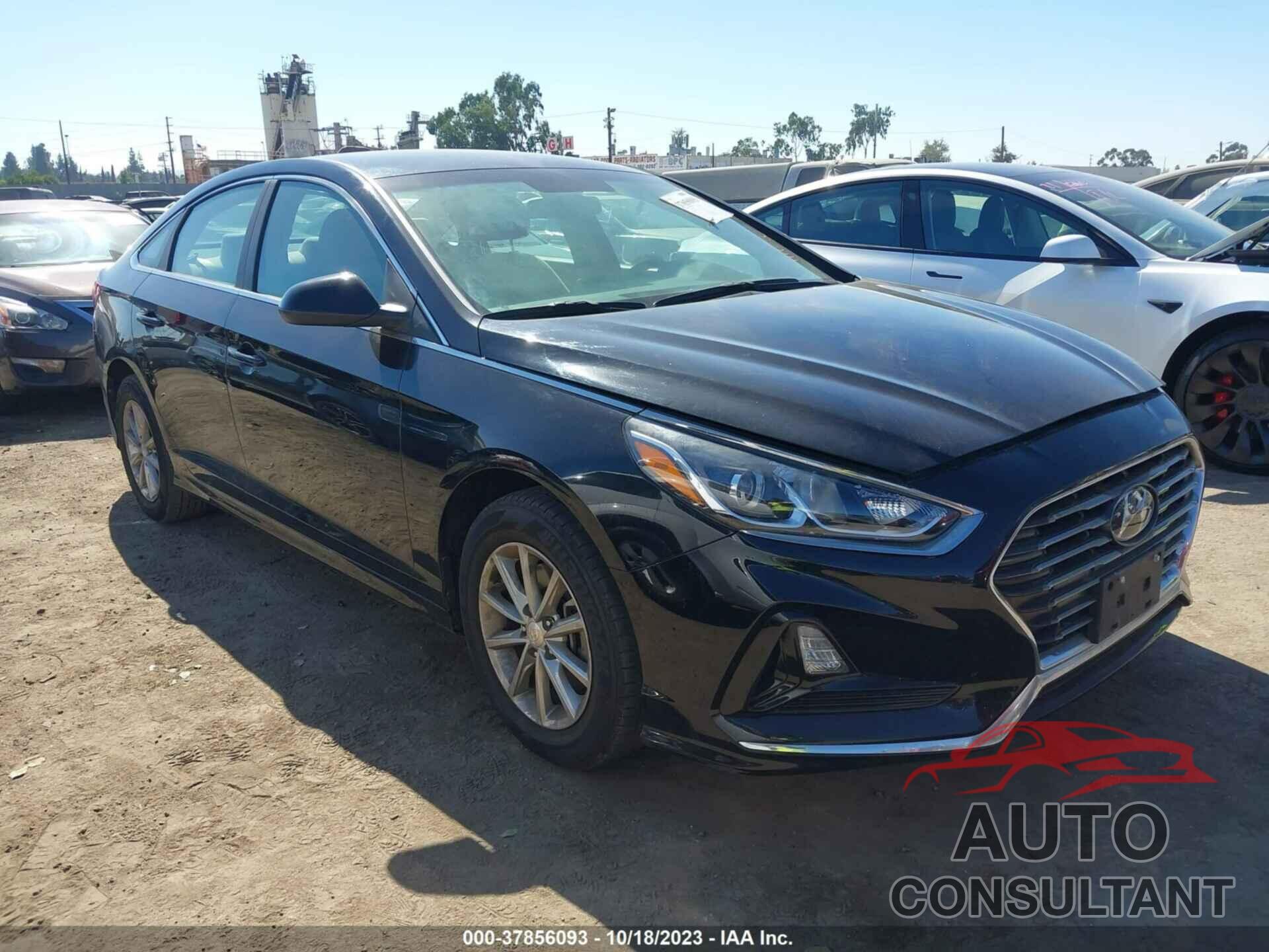 HYUNDAI SONATA 2019 - 5NPE24AF8KH776473