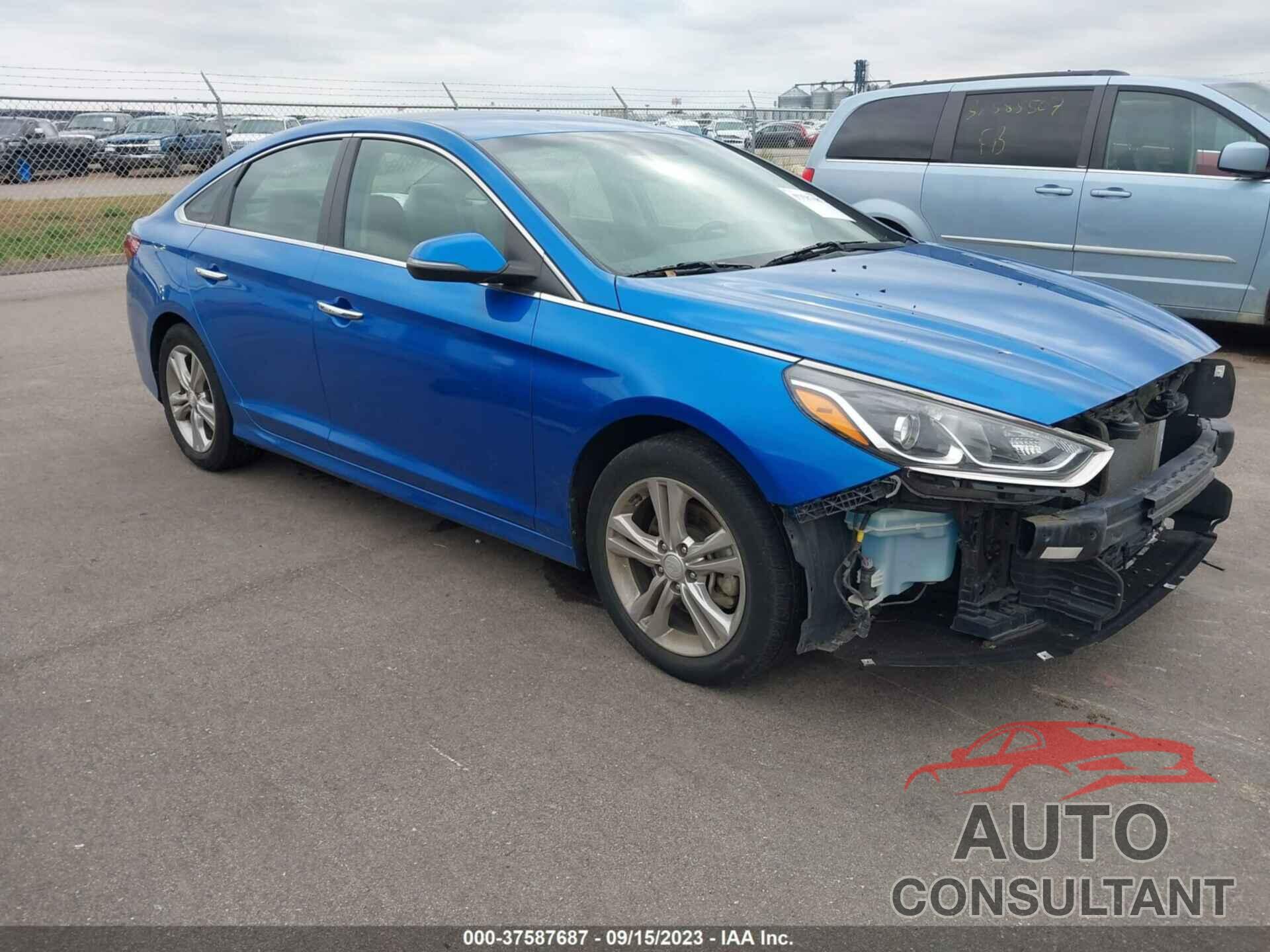 HYUNDAI SONATA 2019 - 5NPE34AF4KH778525