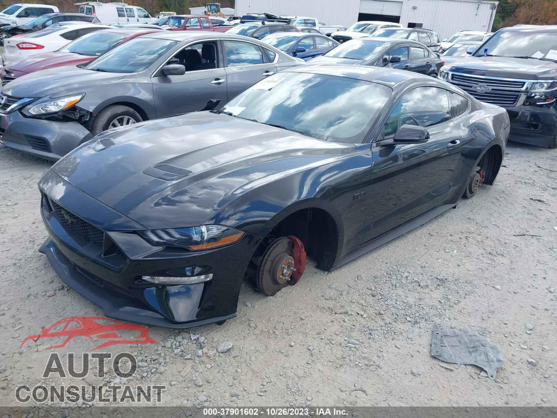 FORD MUSTANG 2021 - 1FA6P8CF6M5143750
