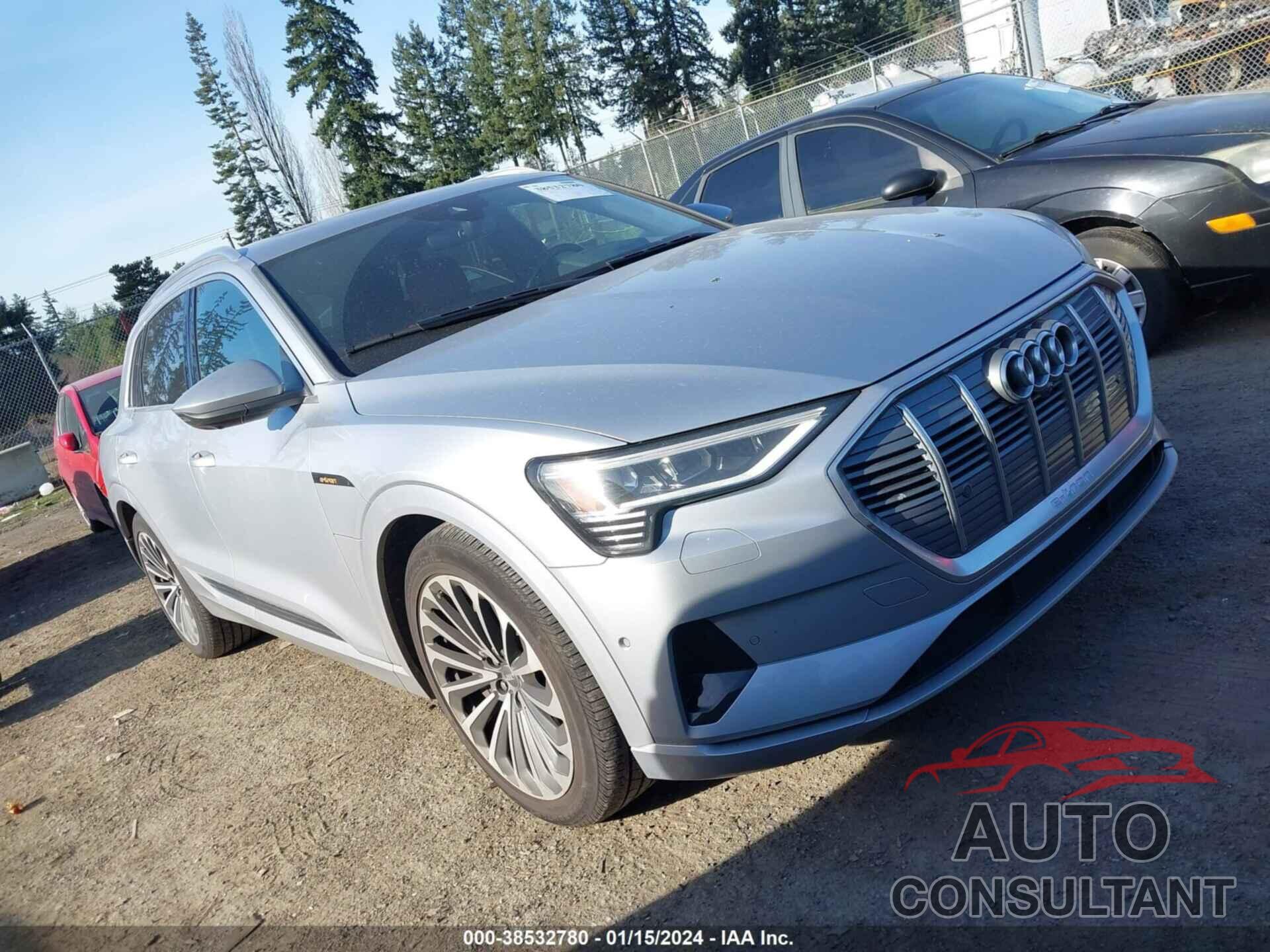 AUDI E-TRON 2019 - WA1VABGE4KB020849