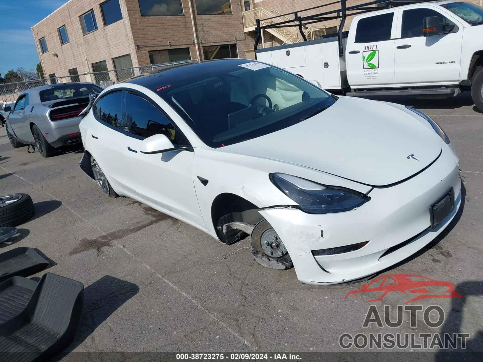 TESLA MODEL 3 2022 - 5YJ3E1EB5NF163993