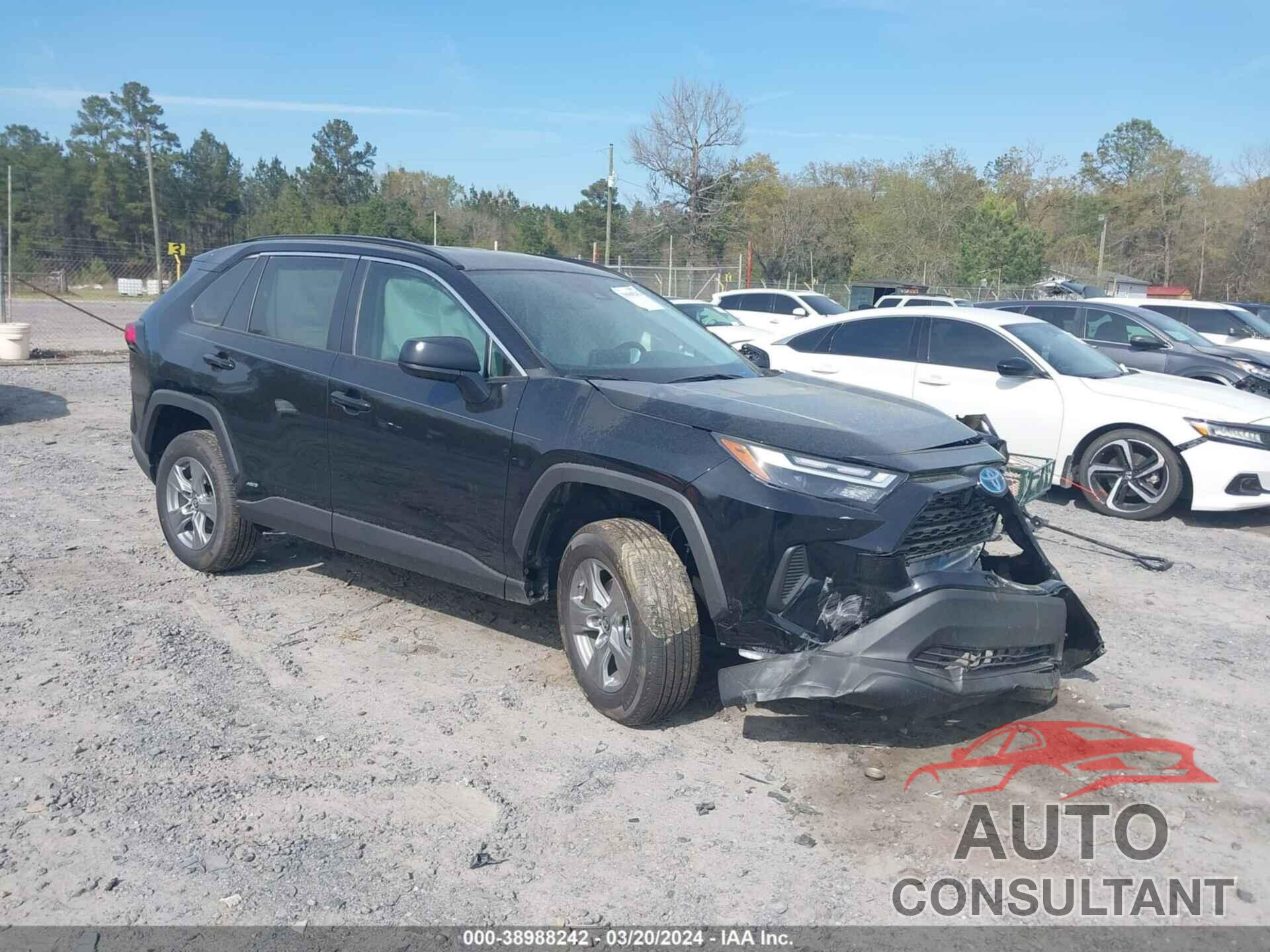 TOYOTA RAV4 2024 - 4T3LWRFV8RU129843