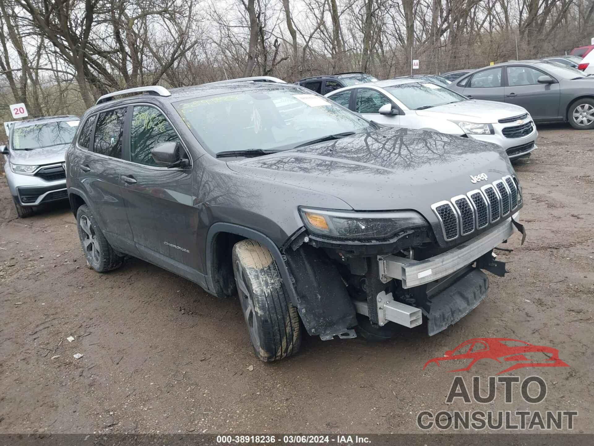 JEEP CHEROKEE 2019 - 1C4PJLDB1KD346398