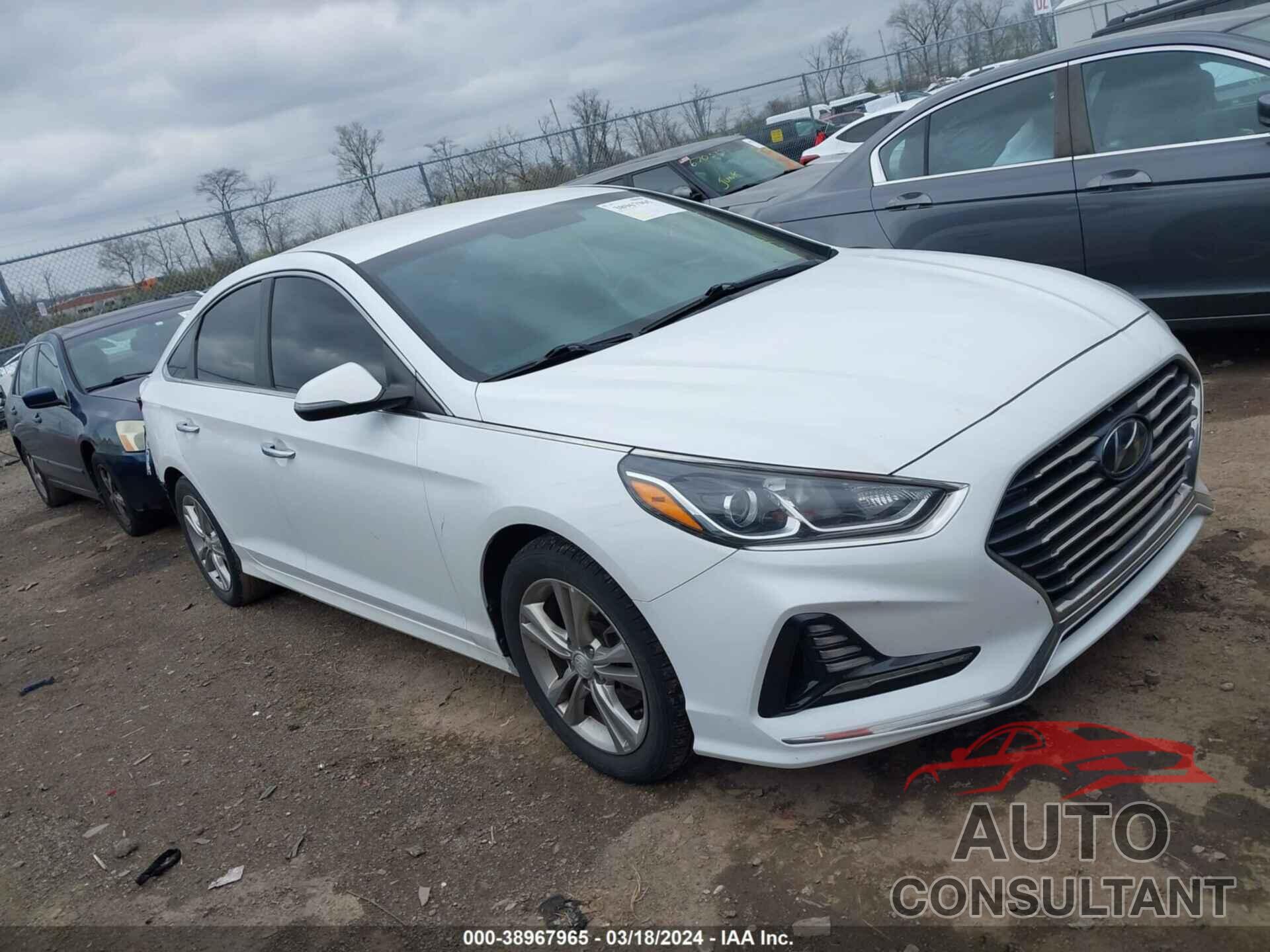 HYUNDAI SONATA 2018 - 5NPE34AF3JH596720