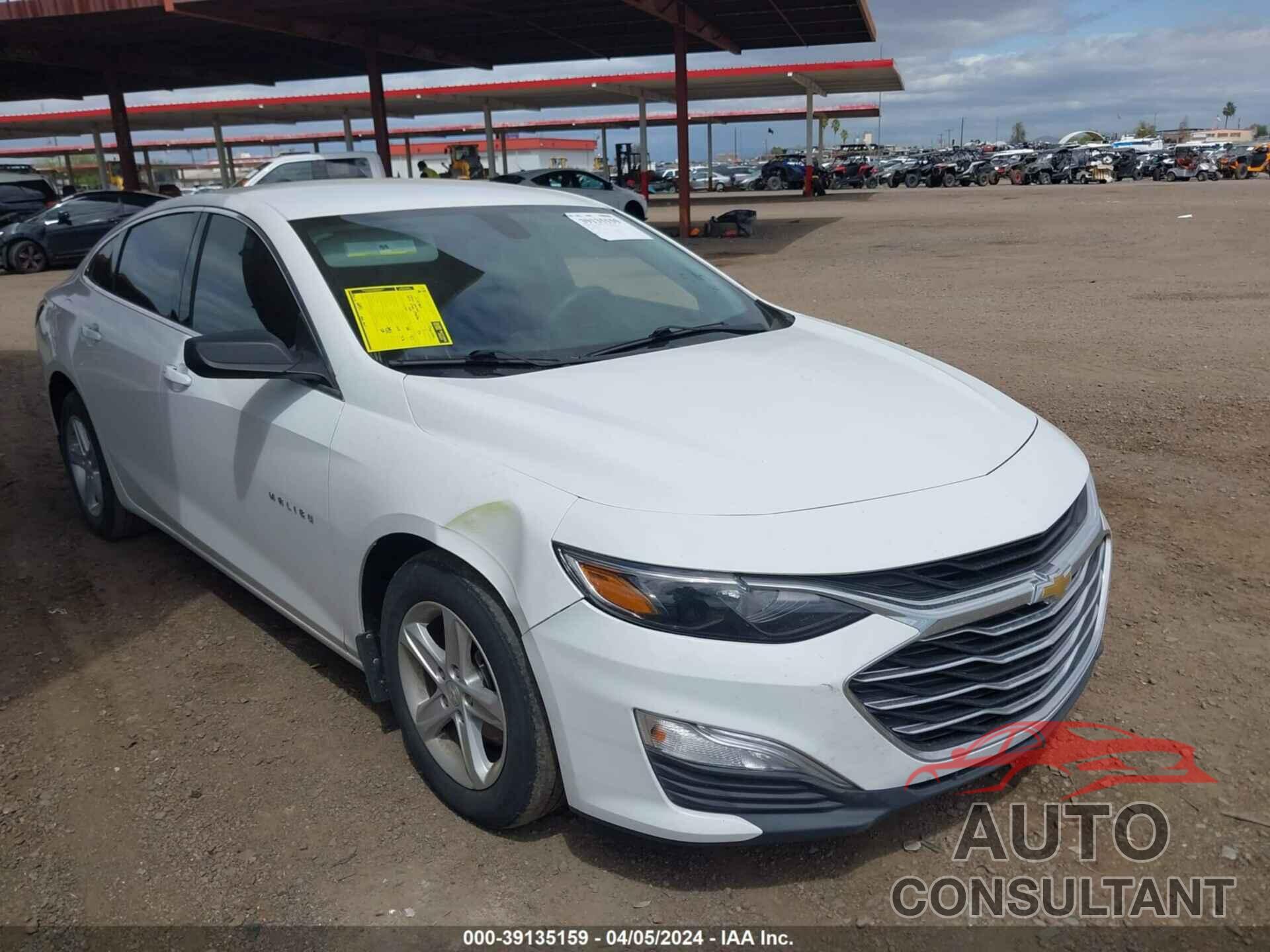 CHEVROLET MALIBU 2019 - 1G1ZB5ST0KF224397