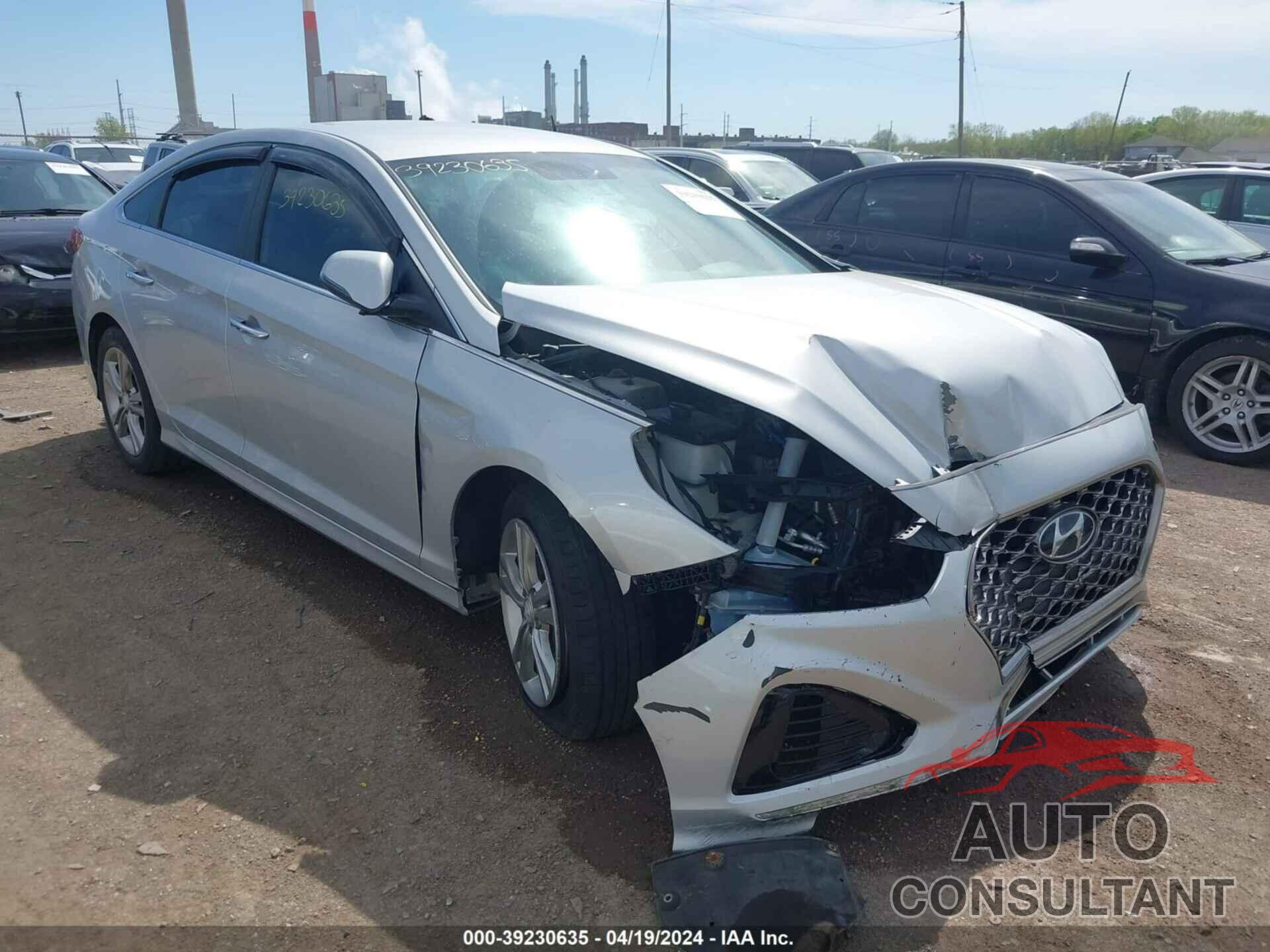 HYUNDAI SONATA 2019 - 5NPE34AF7KH779152