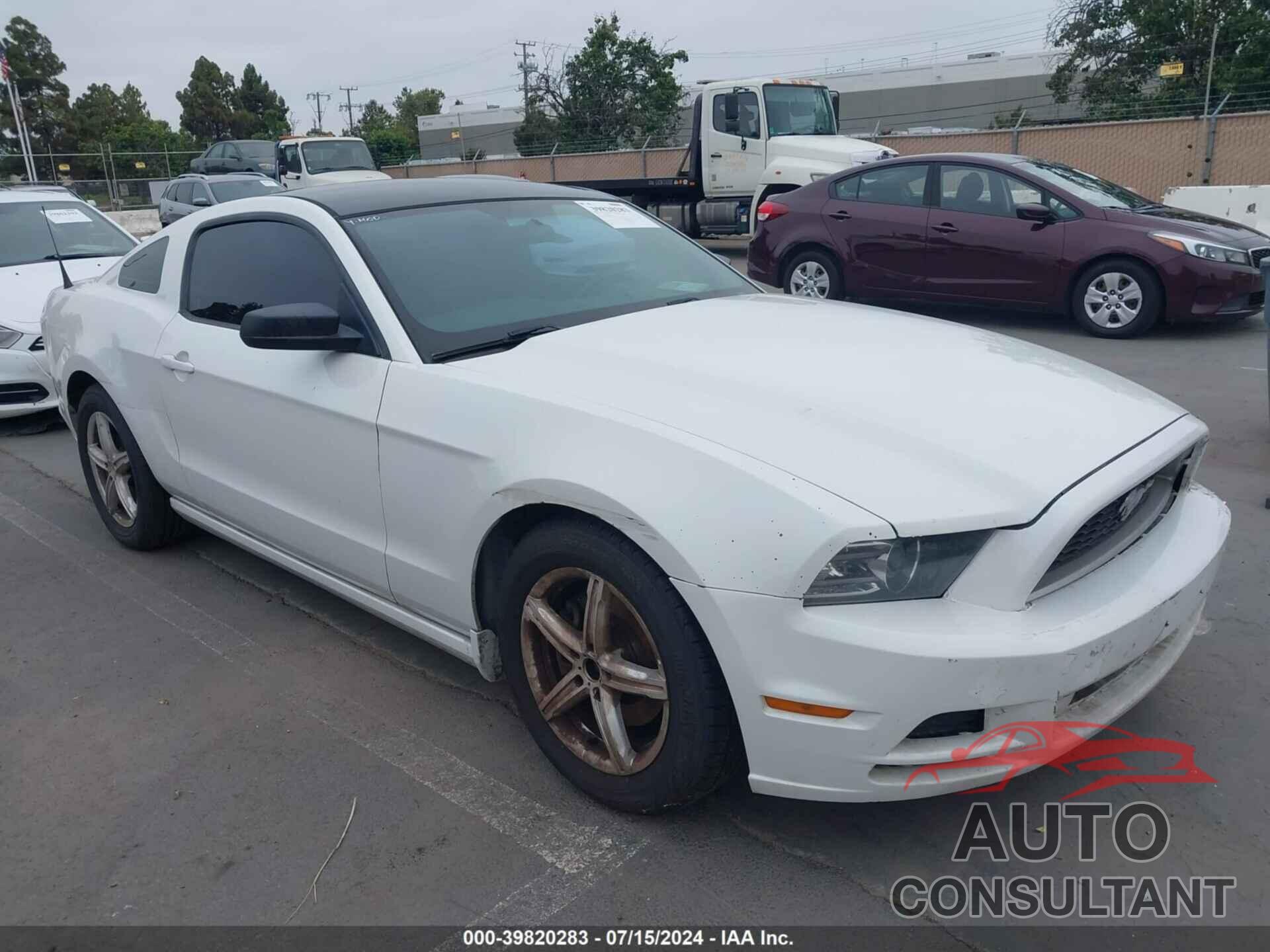 FORD MUSTANG 2014 - 1ZVBP8AM6E5311038