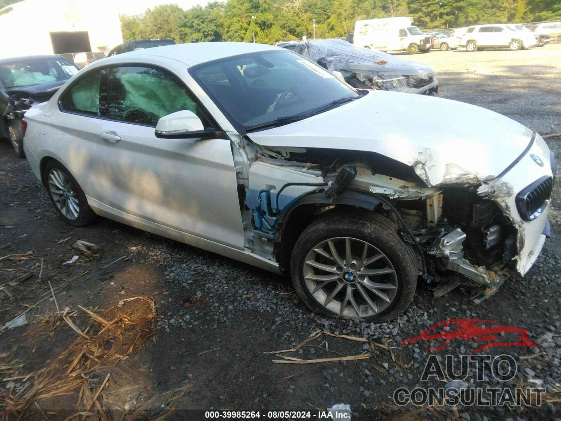 BMW 228I 2016 - WBA1G9C55GV726460