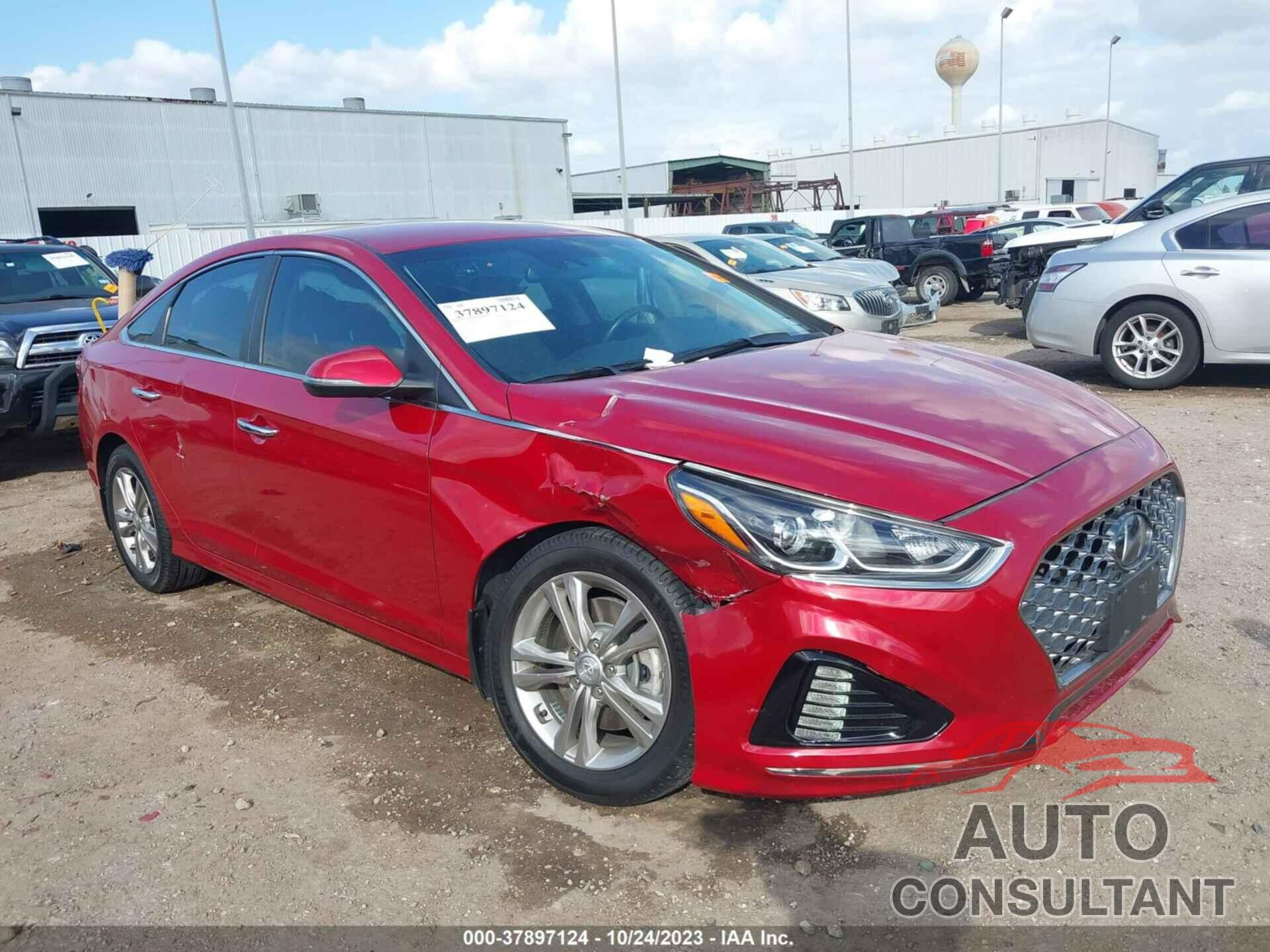 HYUNDAI SONATA 2019 - 5NPE34AF3KH811045