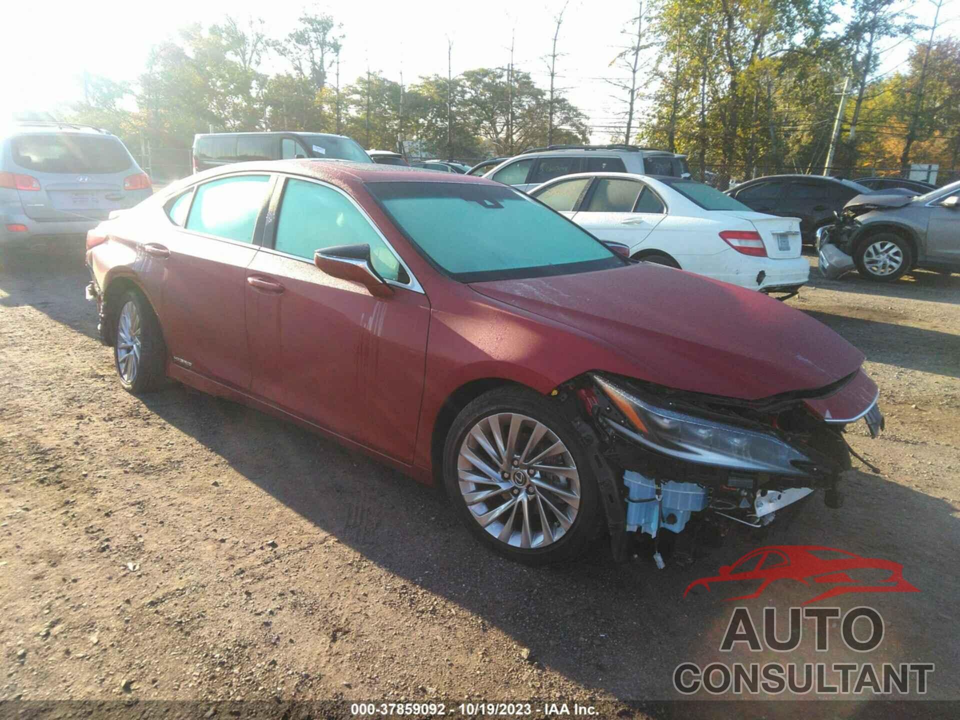 LEXUS ES 300H 2022 - 58AFA1C14NU025439