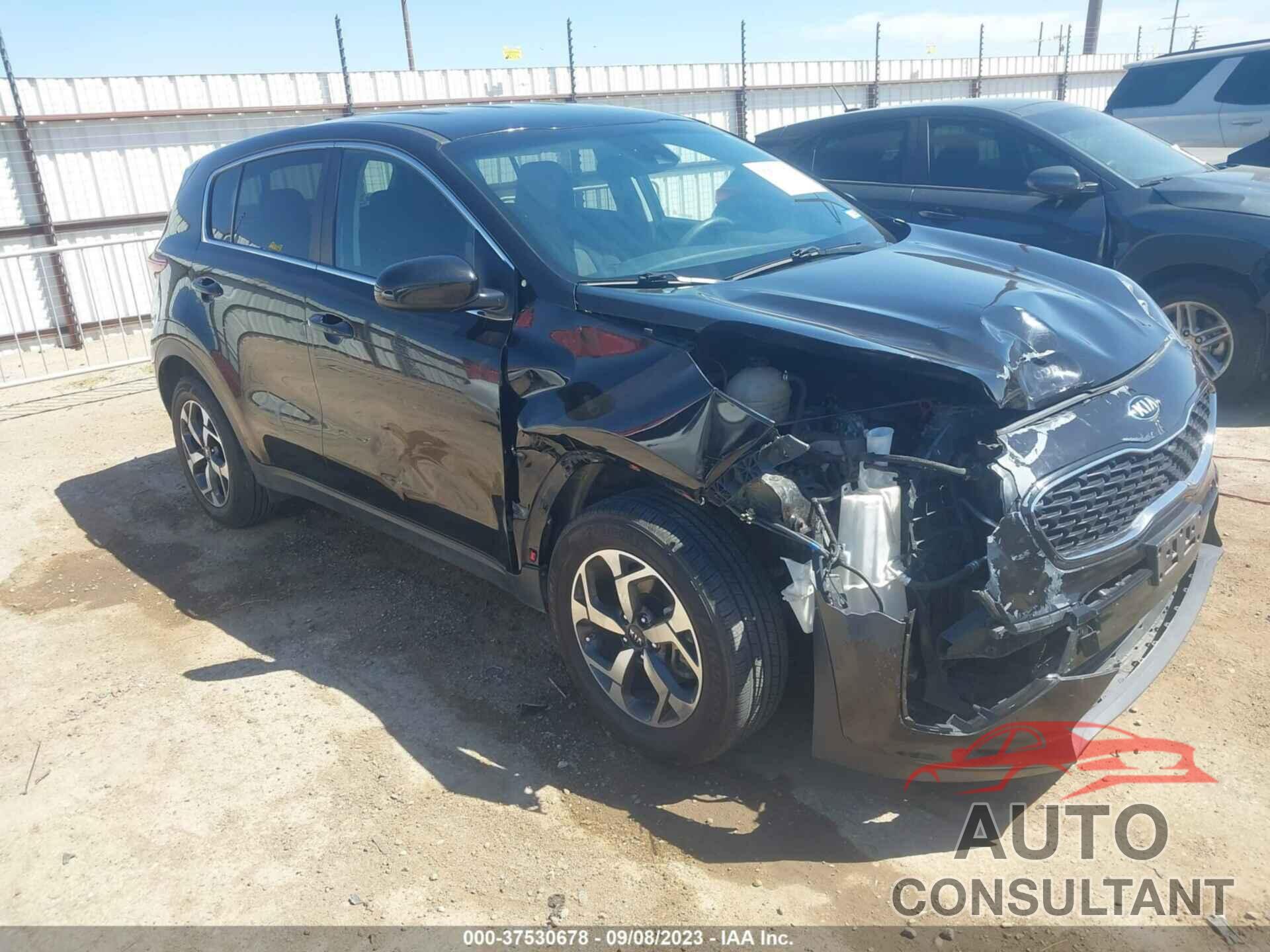 KIA SPORTAGE 2020 - KNDPM3AC3L7692439