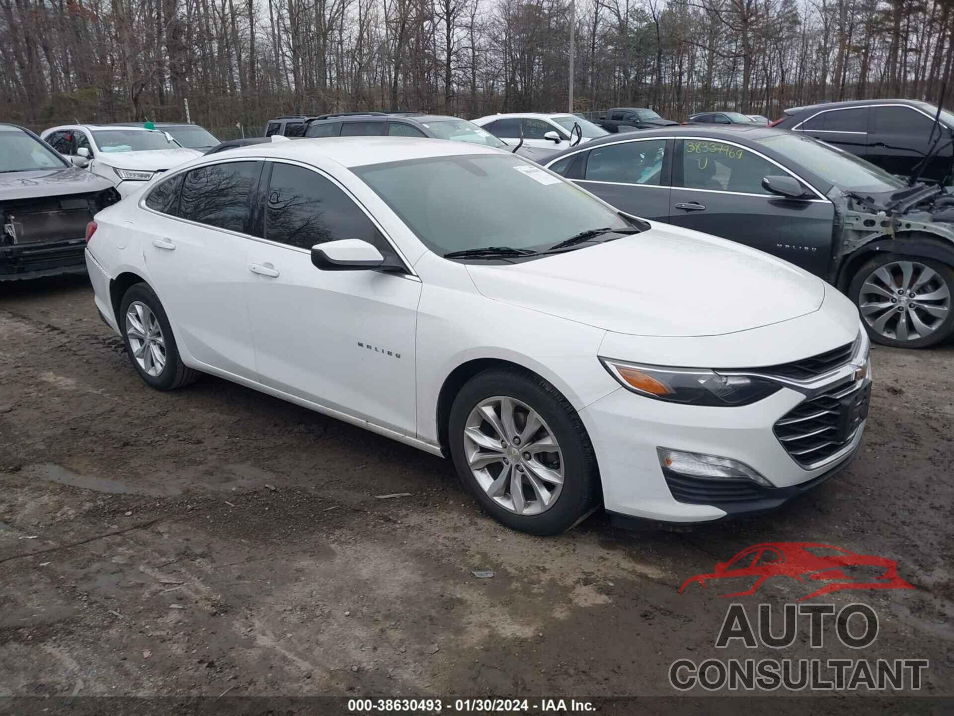 CHEVROLET MALIBU 2020 - 1G1ZD5ST2LF053177