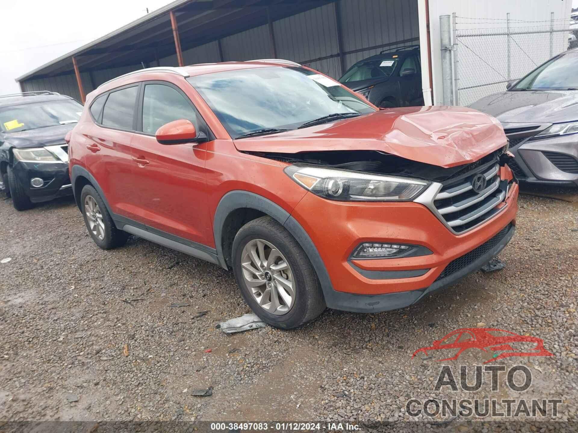 HYUNDAI TUCSON 2017 - KM8J33A42HU295357