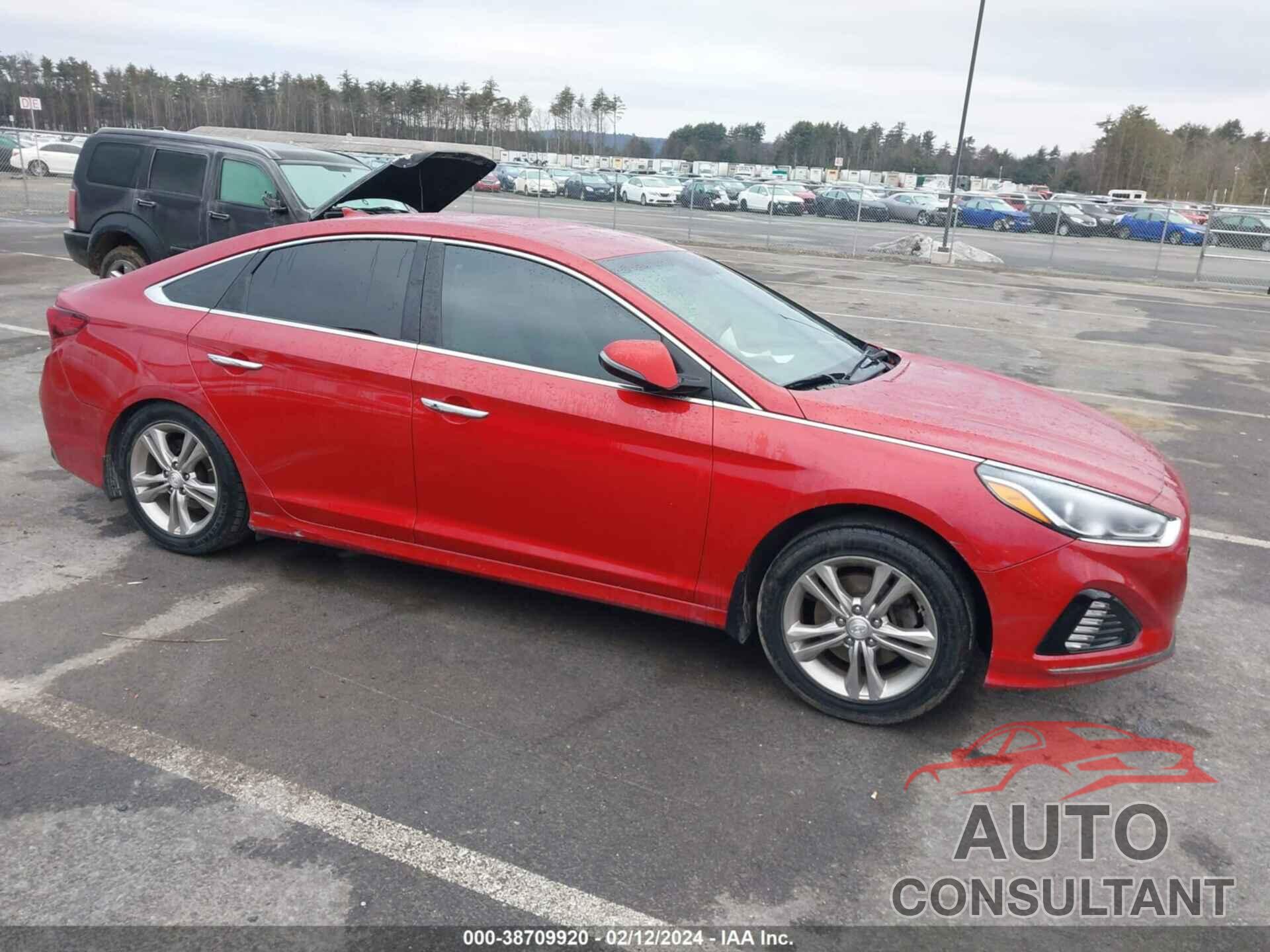 HYUNDAI SONATA 2019 - 5NPE34AF4KH807652