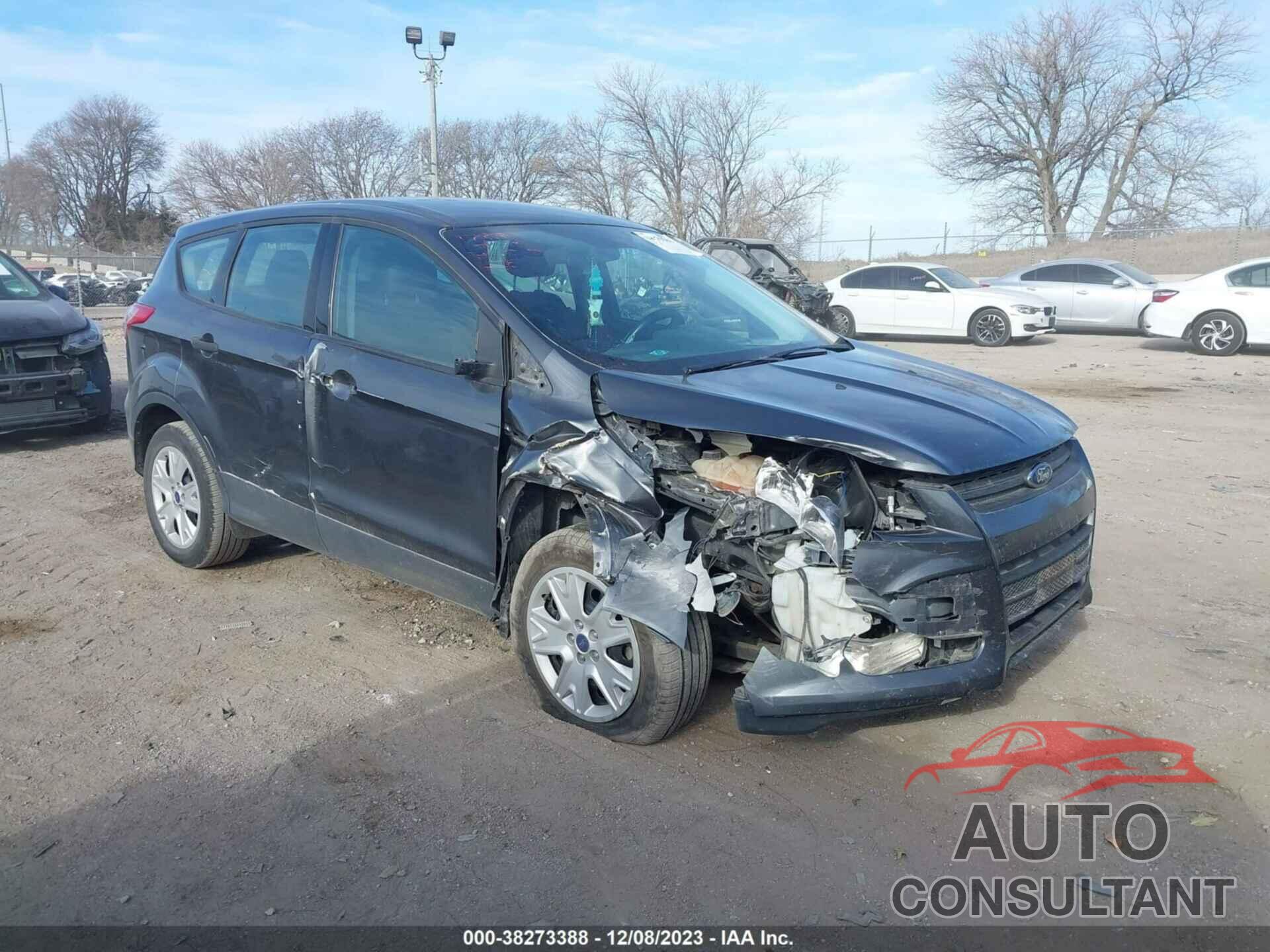 FORD ESCAPE 2016 - 1FMCU0F73GUB58983