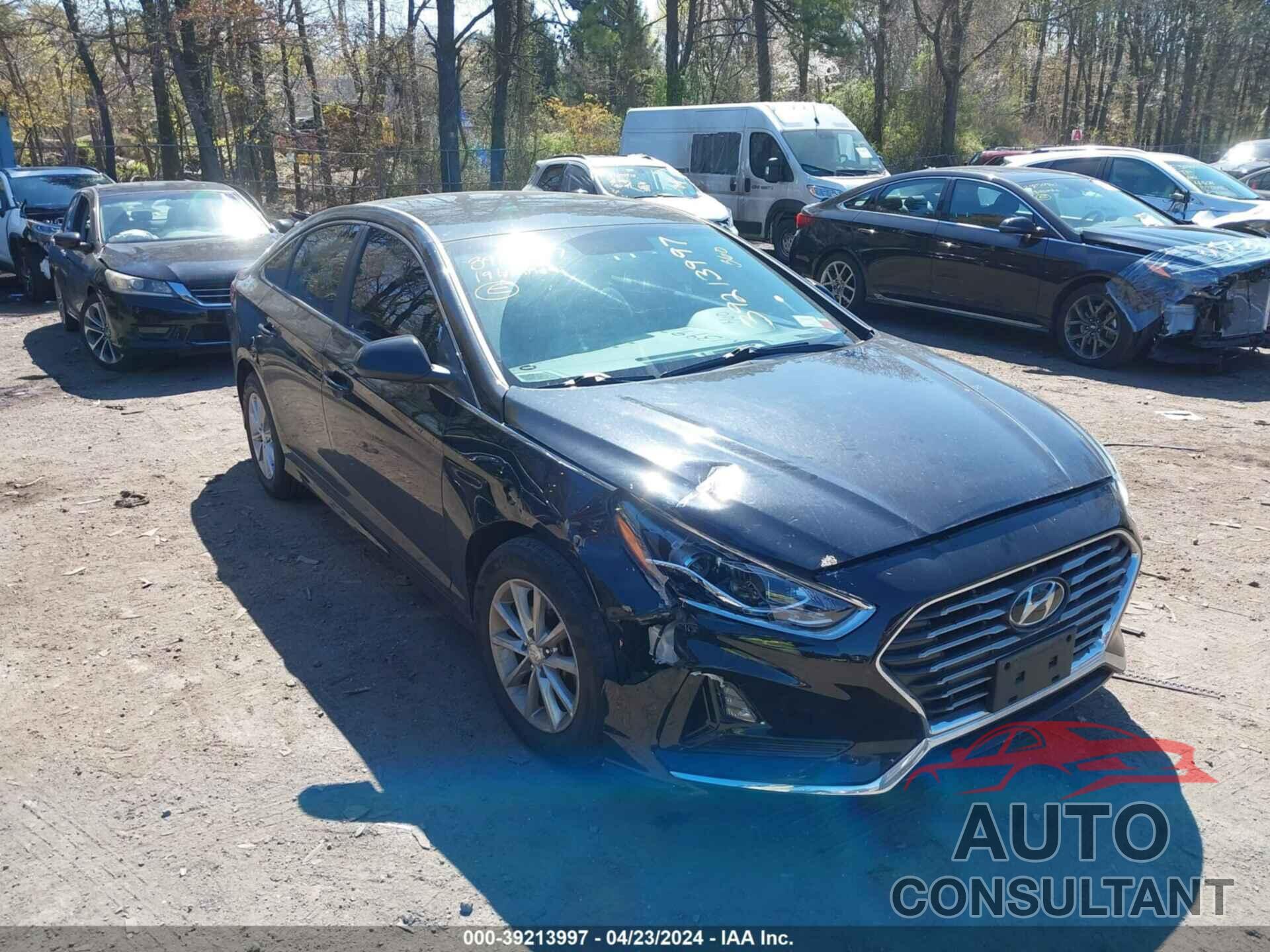 HYUNDAI SONATA 2019 - 5NPE24AF9KH817824
