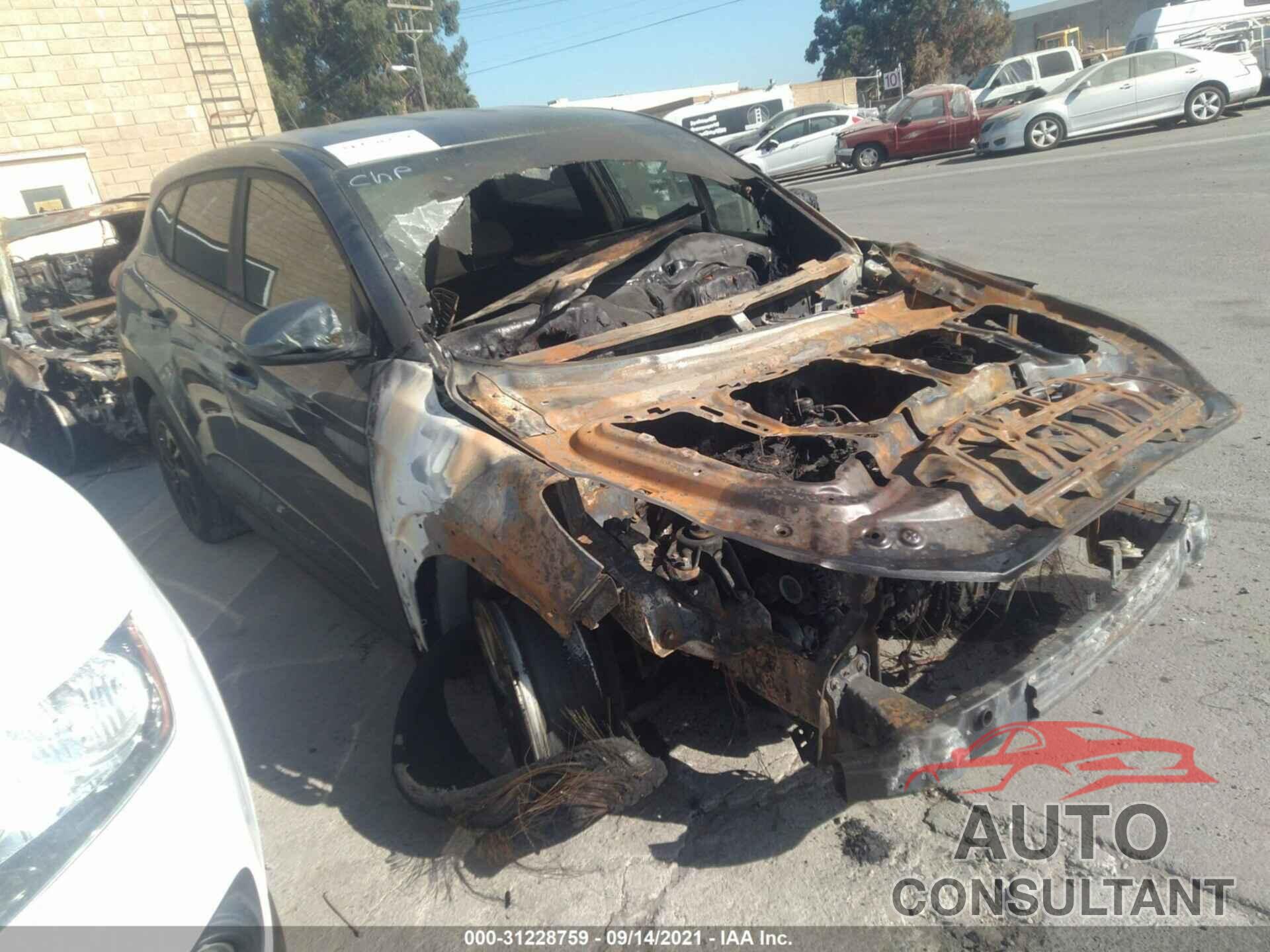 HYUNDAI TUCSON 2018 - KM8J23A41JU626468