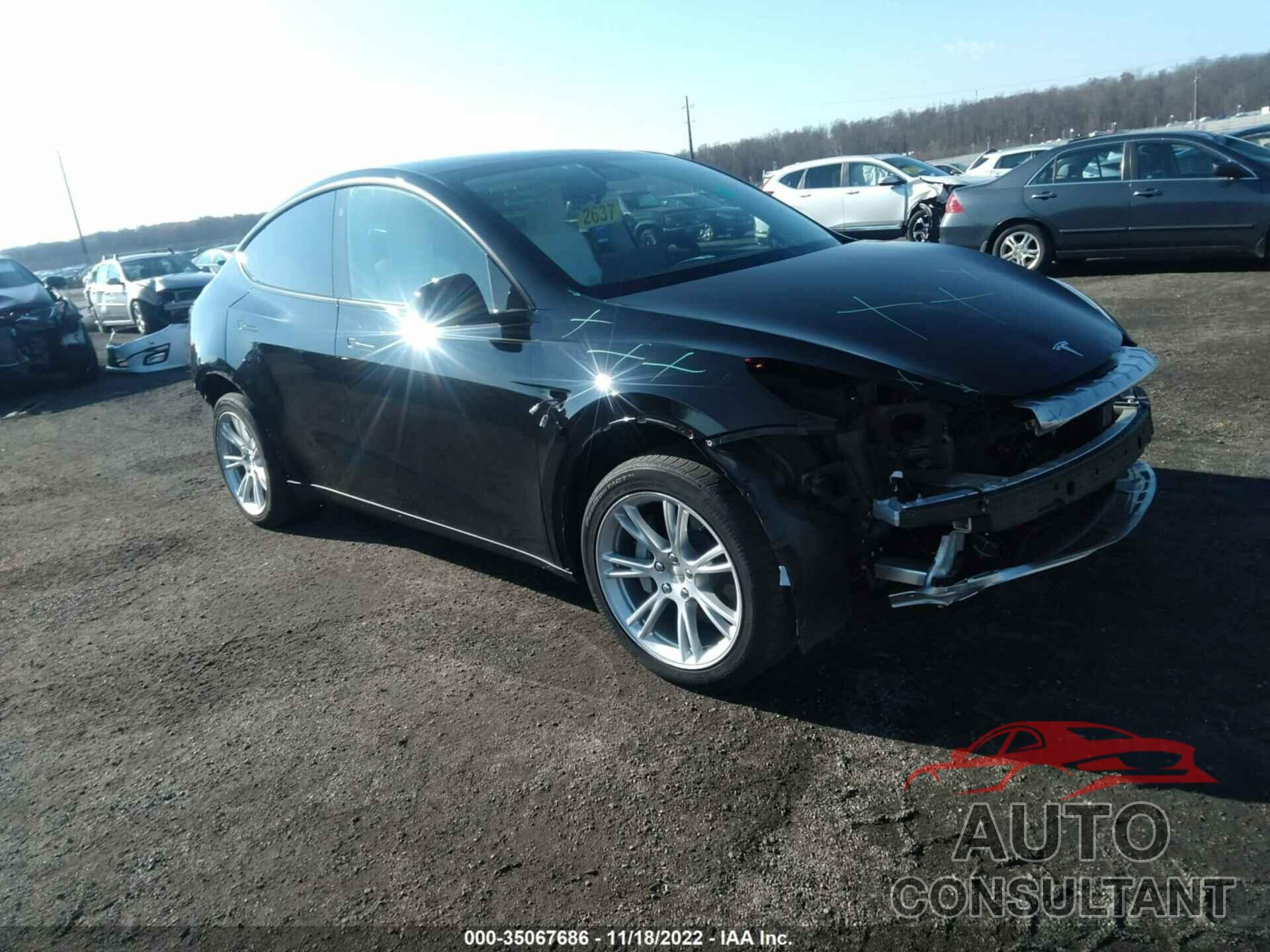 TESLA MODEL Y 2021 - 5YJYGDEE3MF151805