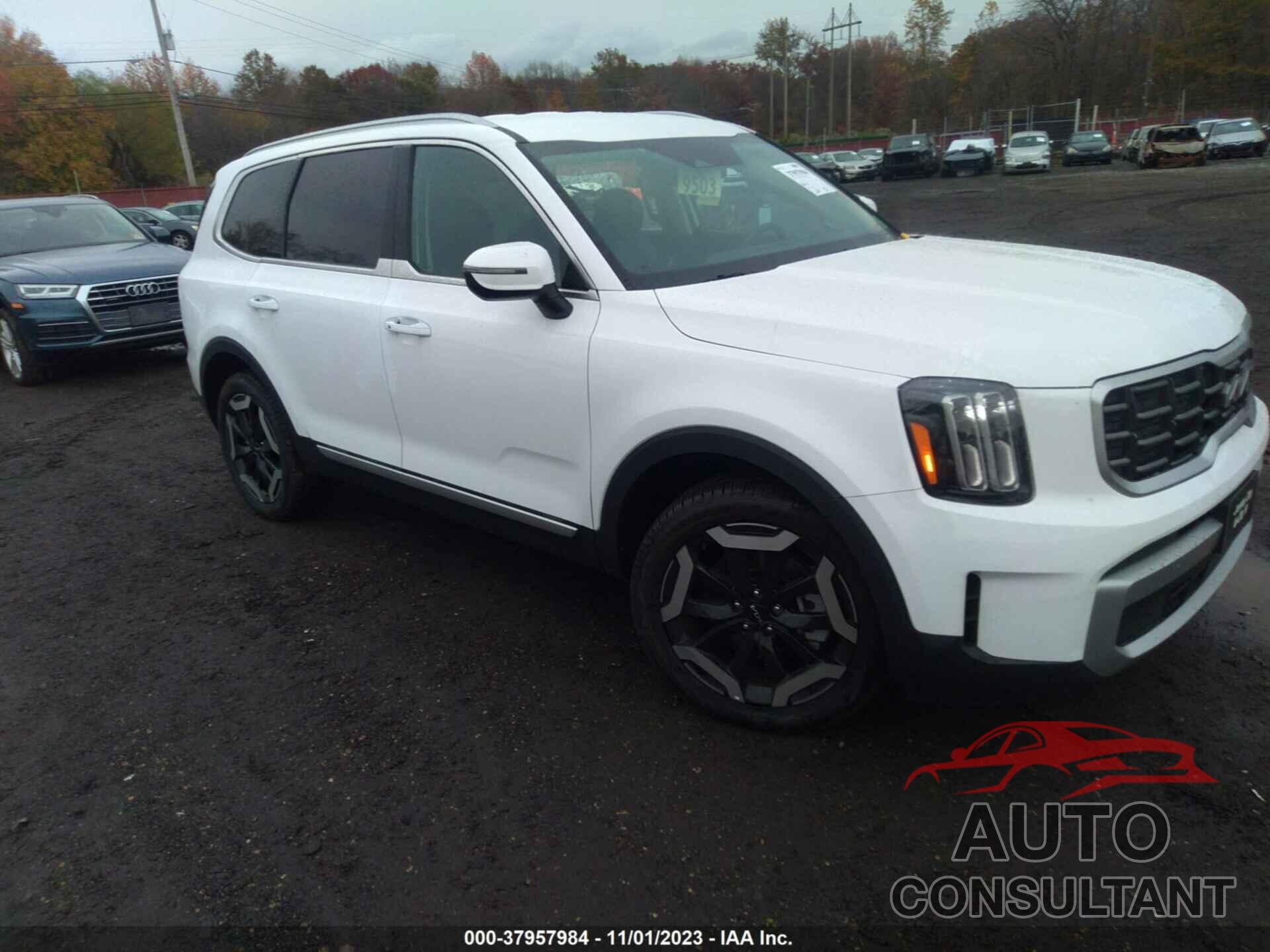 KIA TELLURIDE 2023 - 5XYP6DGC8PD406567