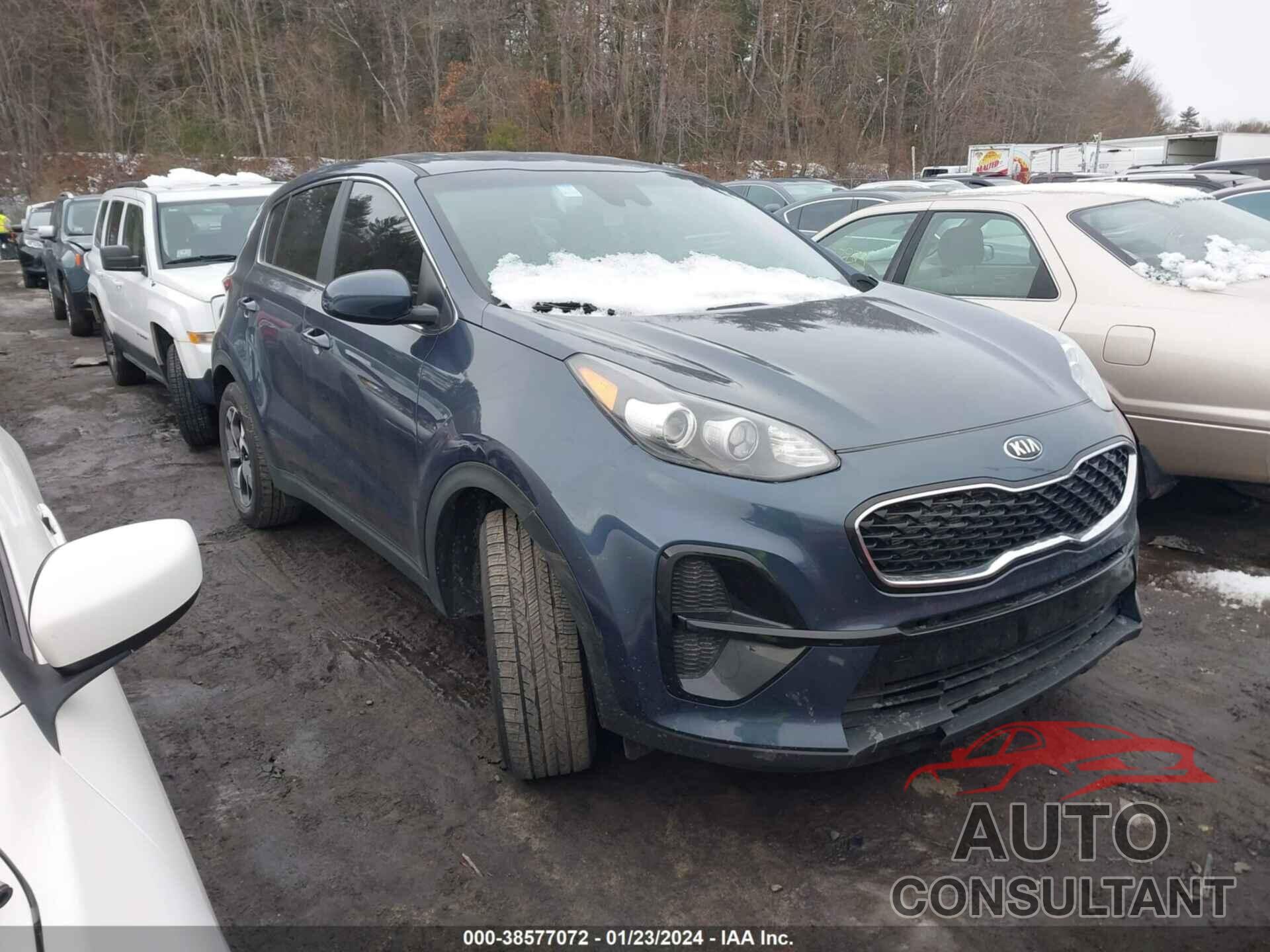 KIA SPORTAGE 2022 - KNDPM3AC8N7000985