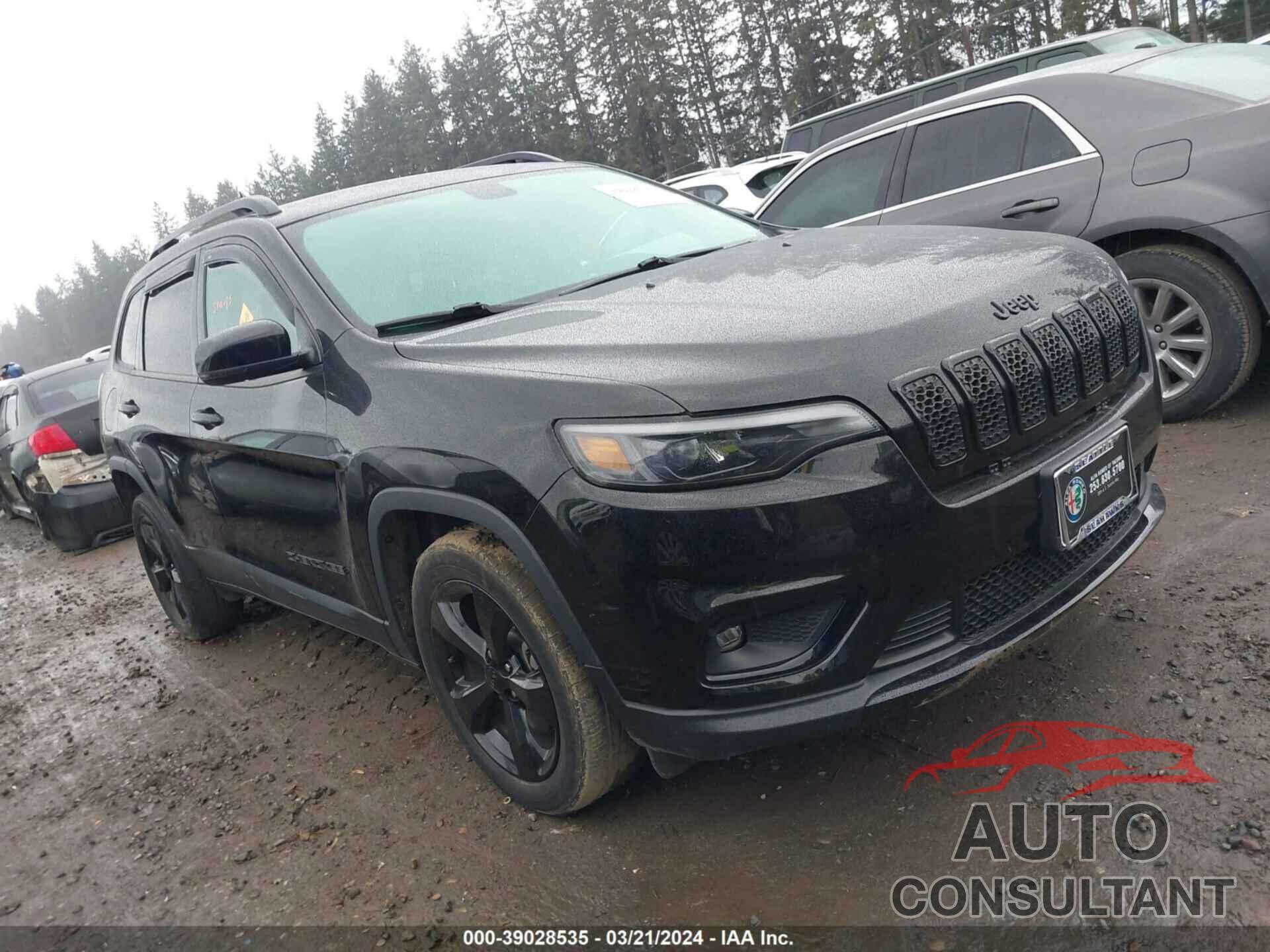 JEEP CHEROKEE 2019 - 1C4PJLLB2KD478829