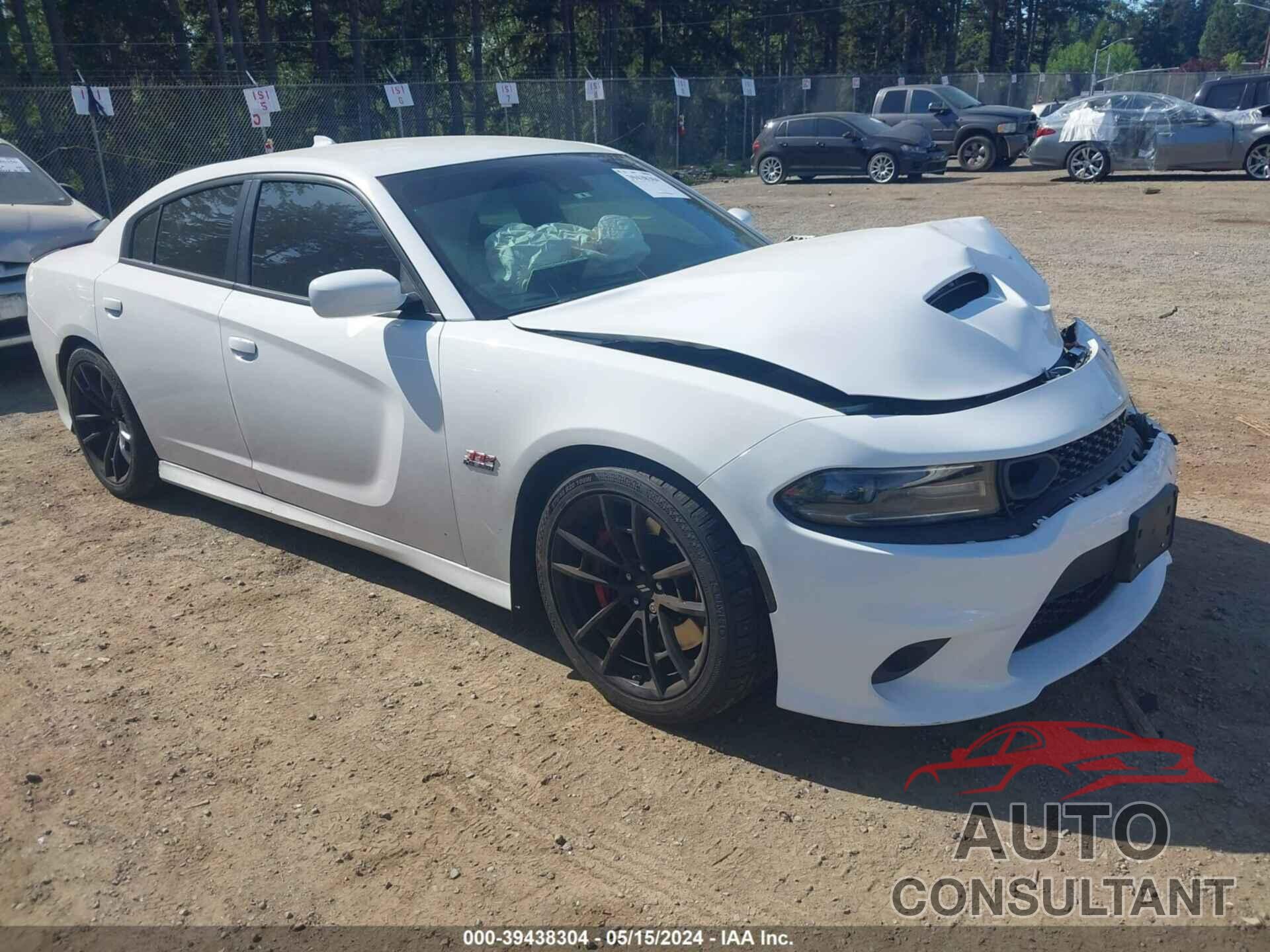 DODGE CHARGER 2020 - 2C3CDXGJXLH217066