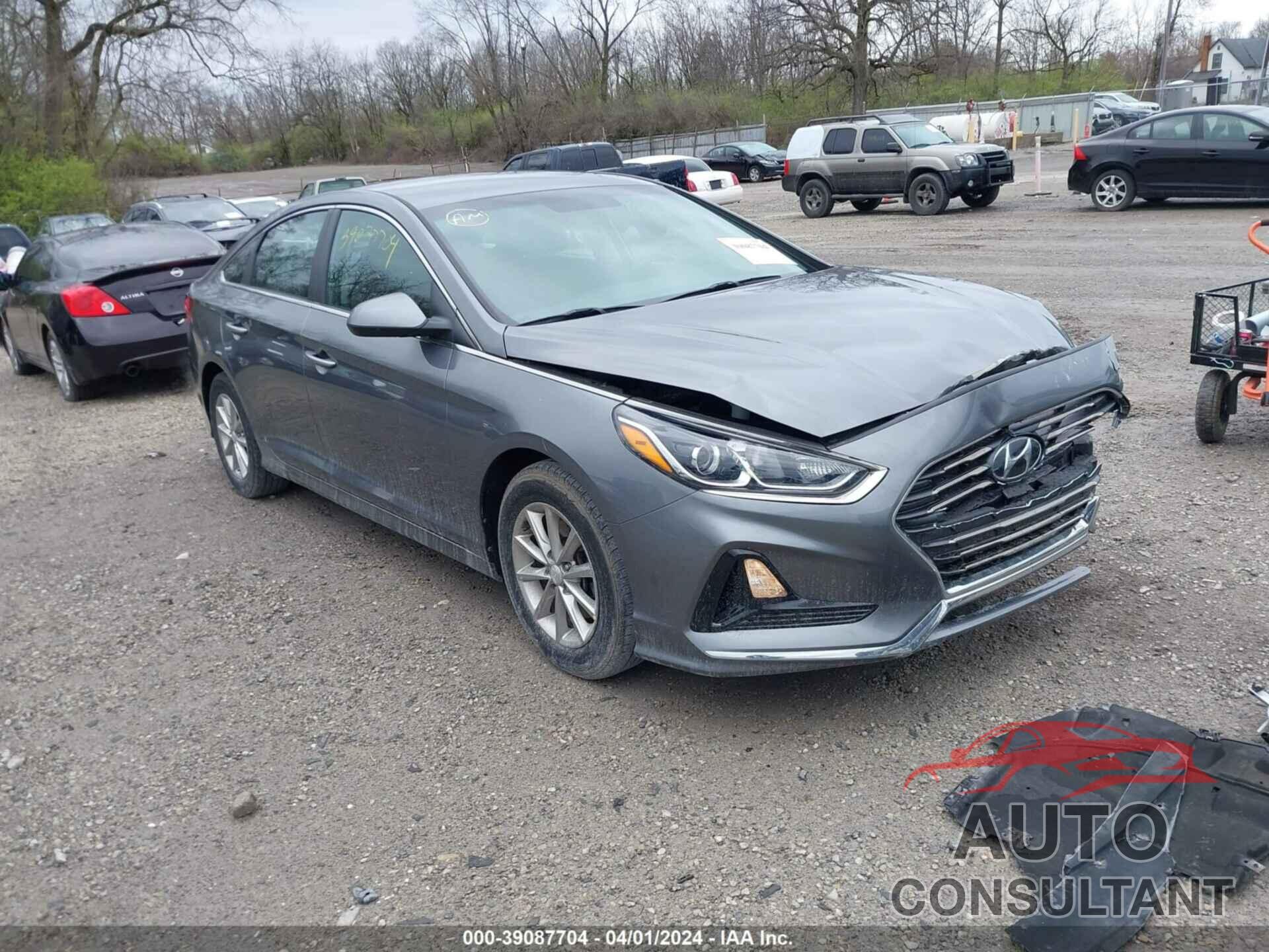 HYUNDAI SONATA 2019 - 5NPE24AF3KH754977